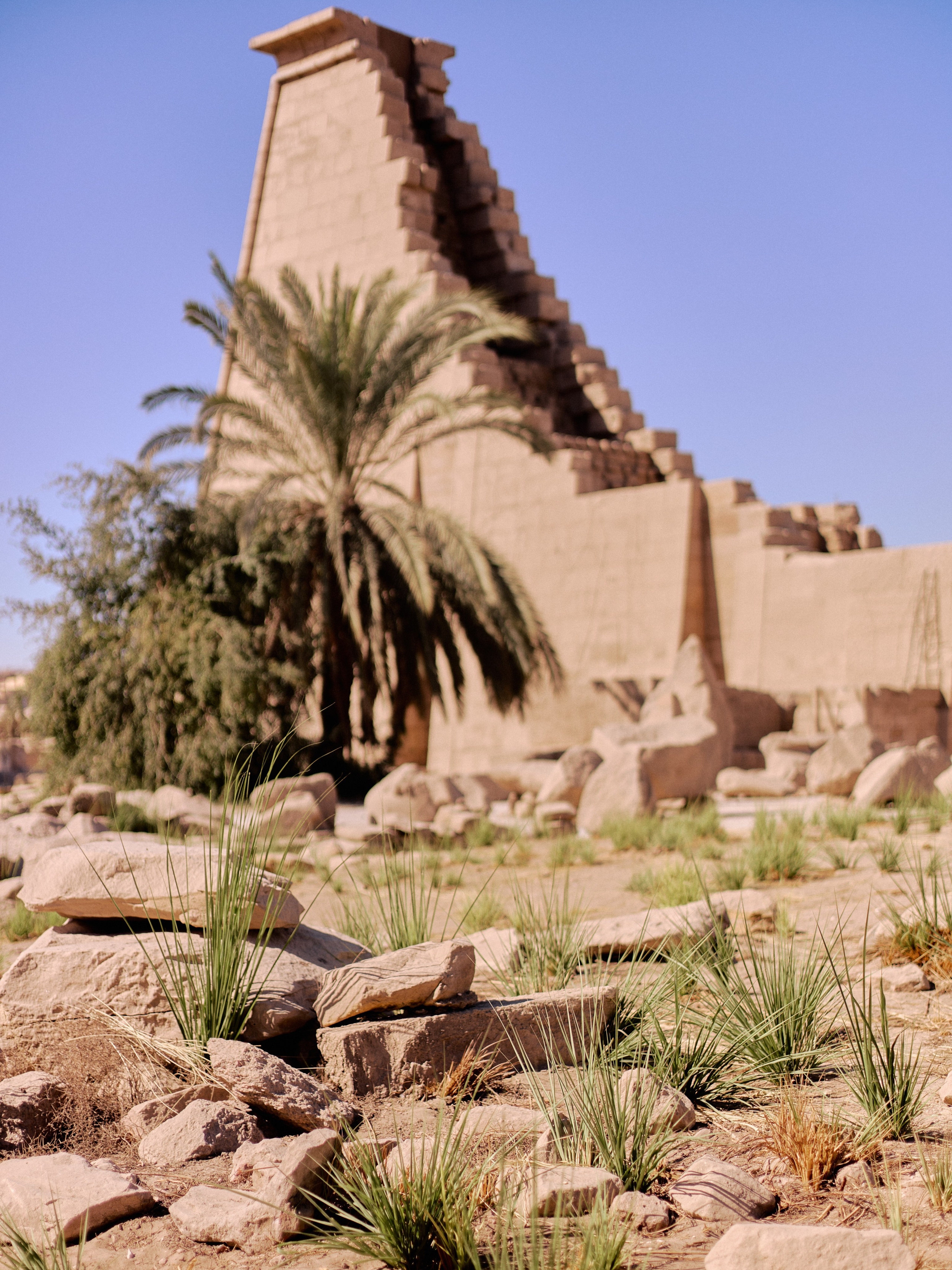 Другое 4. Jorgis — фотограф в Хургаде / обучение фотографии