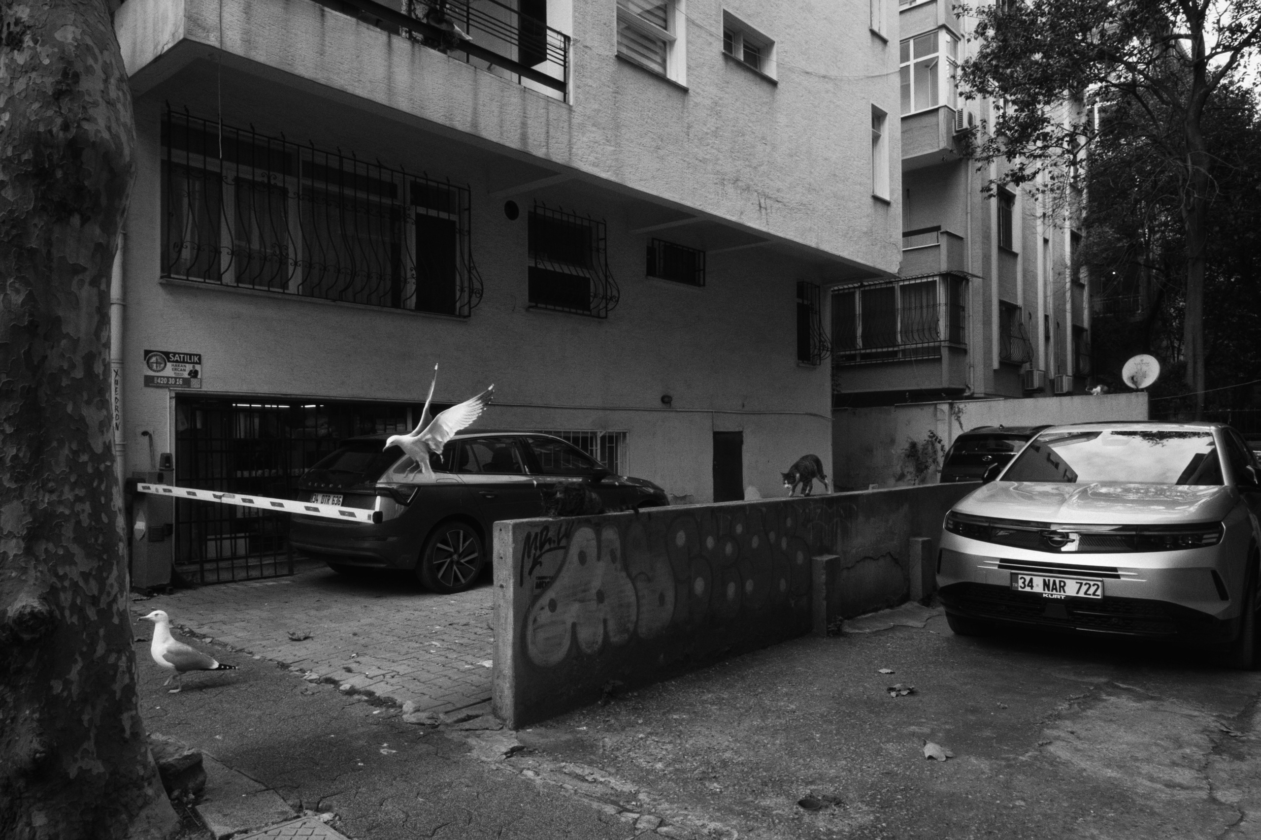 Kadikoy x Moda, Istanbul / Türkey AW25. Фотограф Юрин Евгений