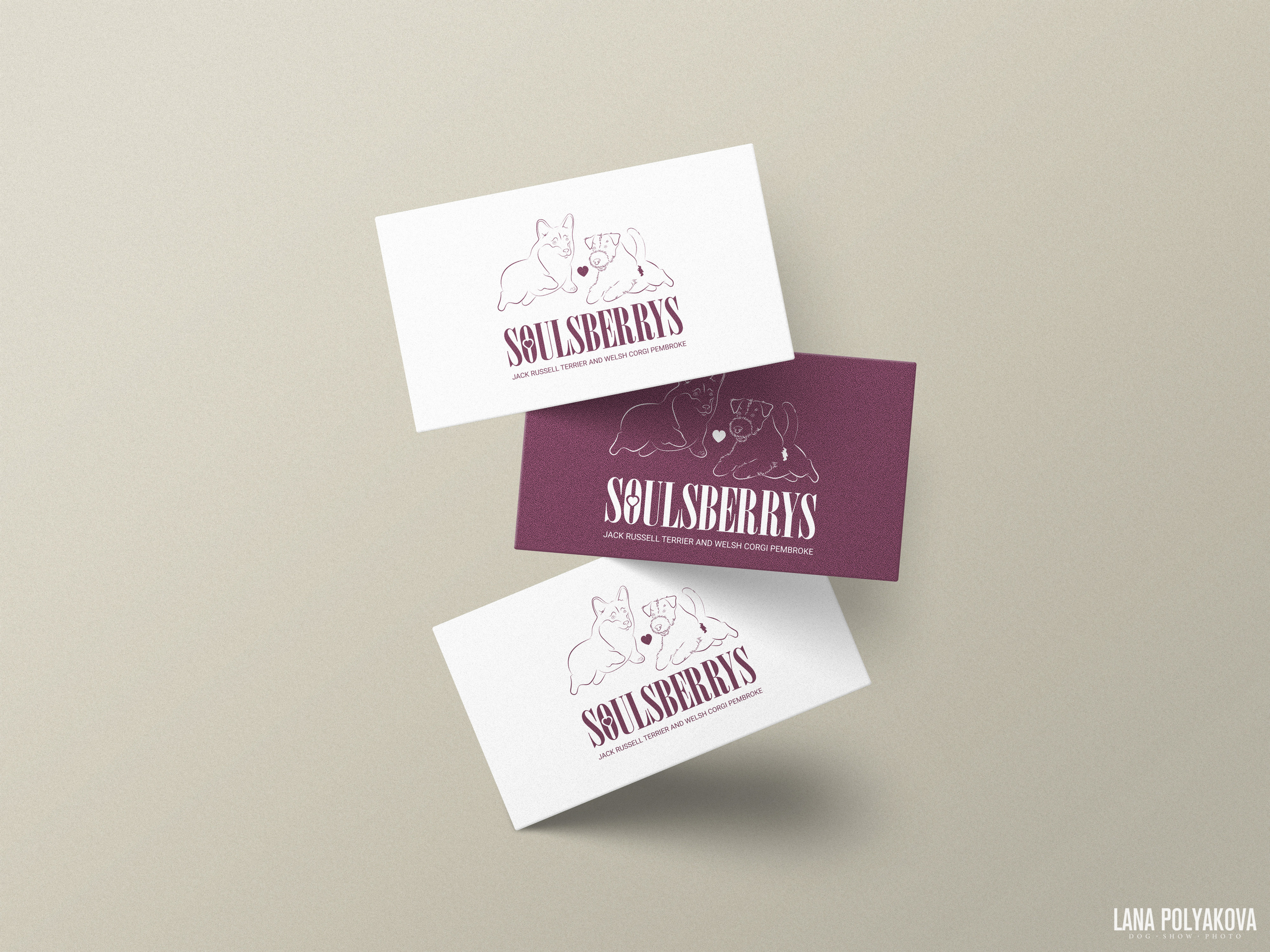 Питомник собак породы джек рассел терьер и вельш корги пемброк «SOULSBERRYS»