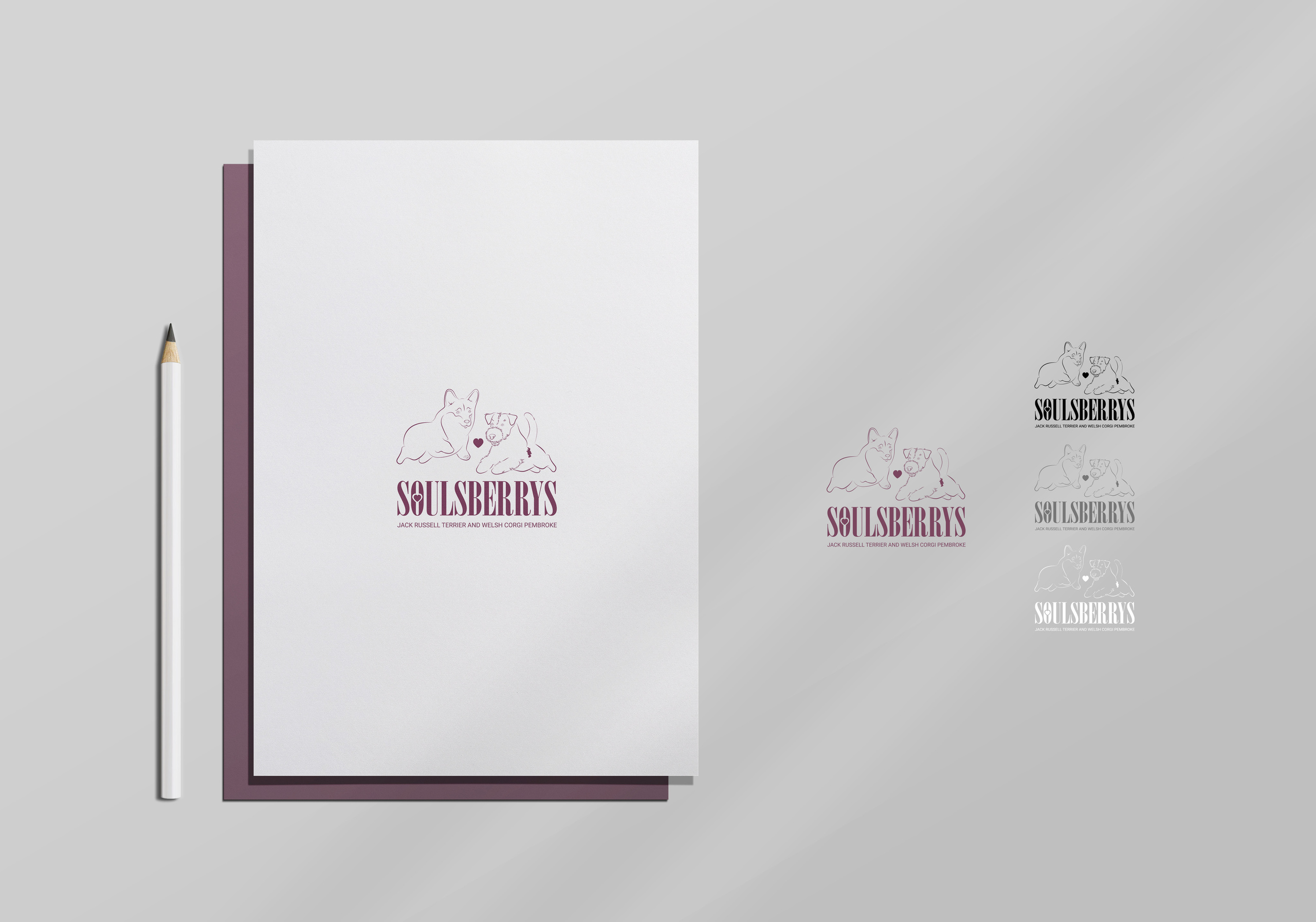 Питомник собак породы джек рассел терьер и вельш корги пемброк «SOULSBERRYS»