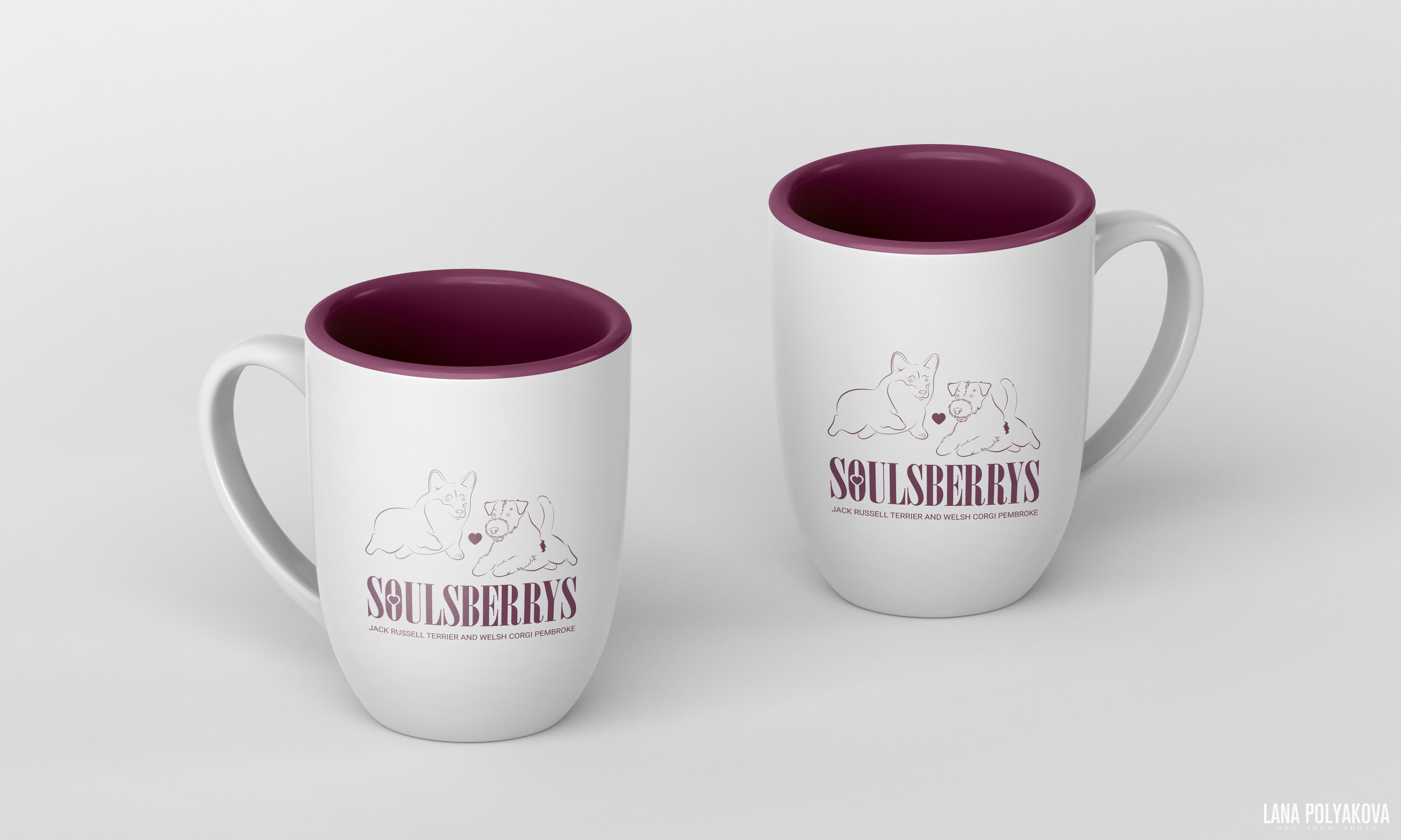 Питомник собак породы джек рассел терьер и вельш корги пемброк «SOULSBERRYS»