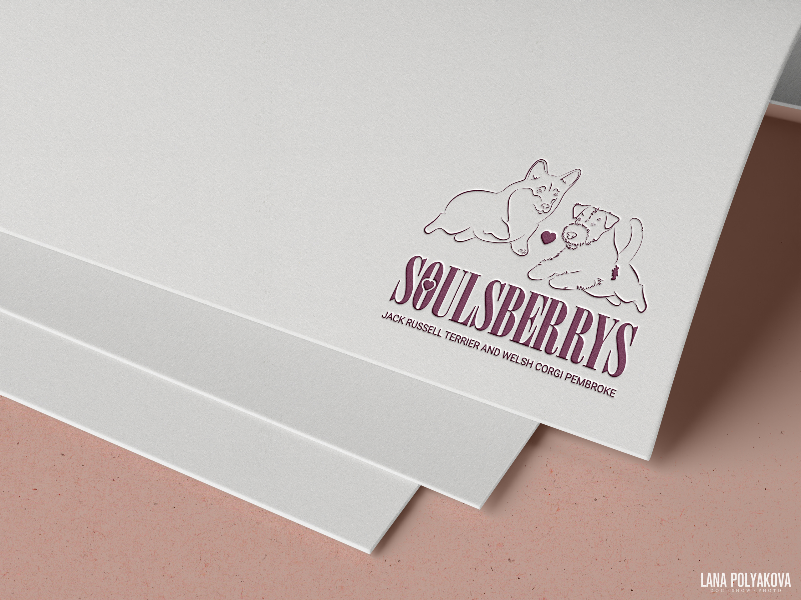 Питомник собак породы джек рассел терьер и вельш корги пемброк «SOULSBERRYS»