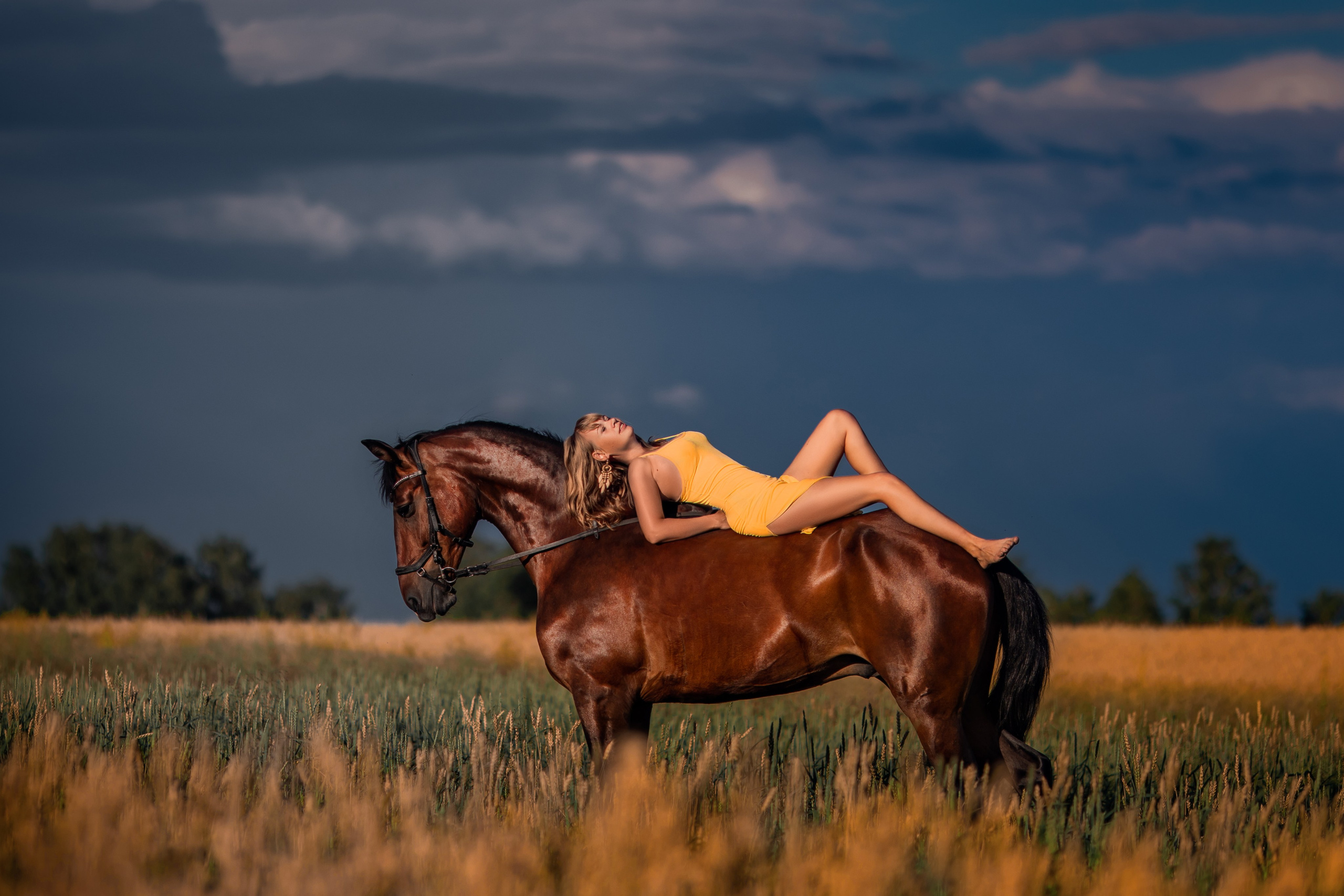 Фотосессии с лошадьми. Главная