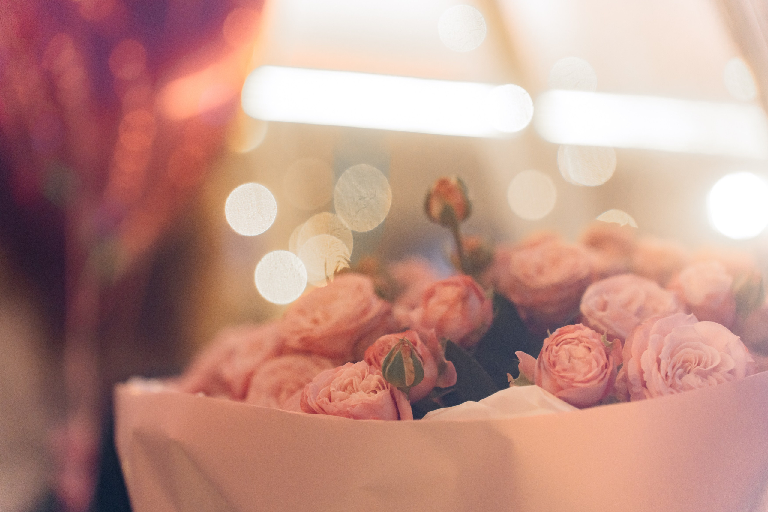 Свидания. Репортажный фотограф в Санкт-Петербурге Евдокимова Ольга