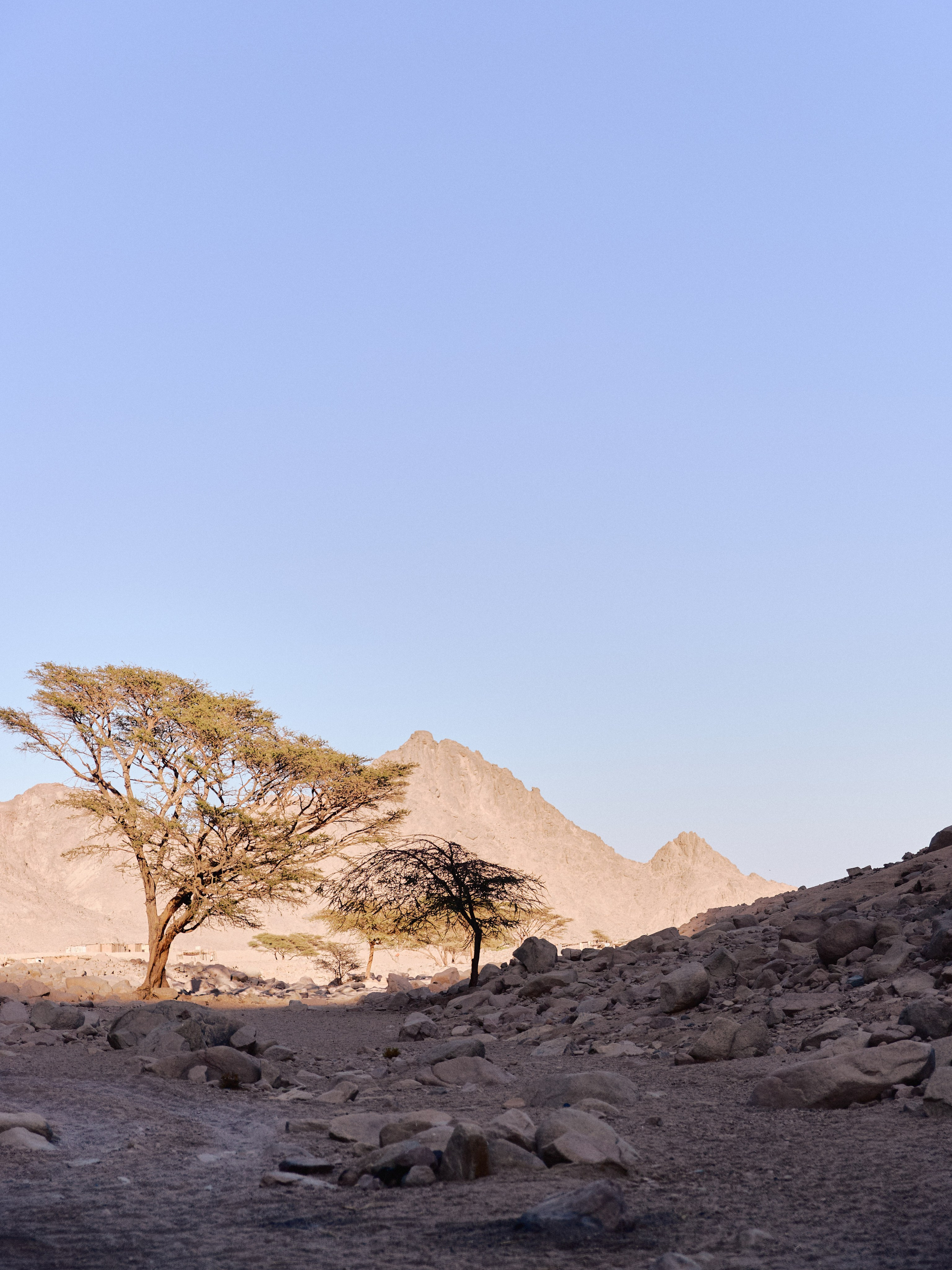 Улицы. Jorgis Talè — photographer, kind person, teacher of arts and other mag