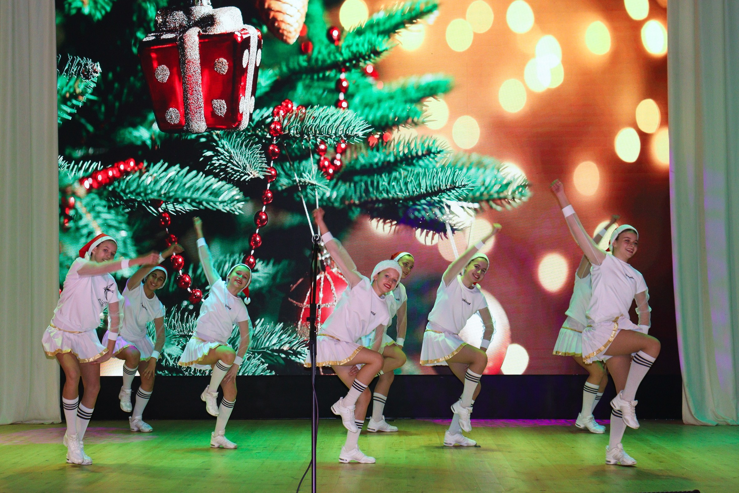 Новогодний концерт Шишли-Мышли