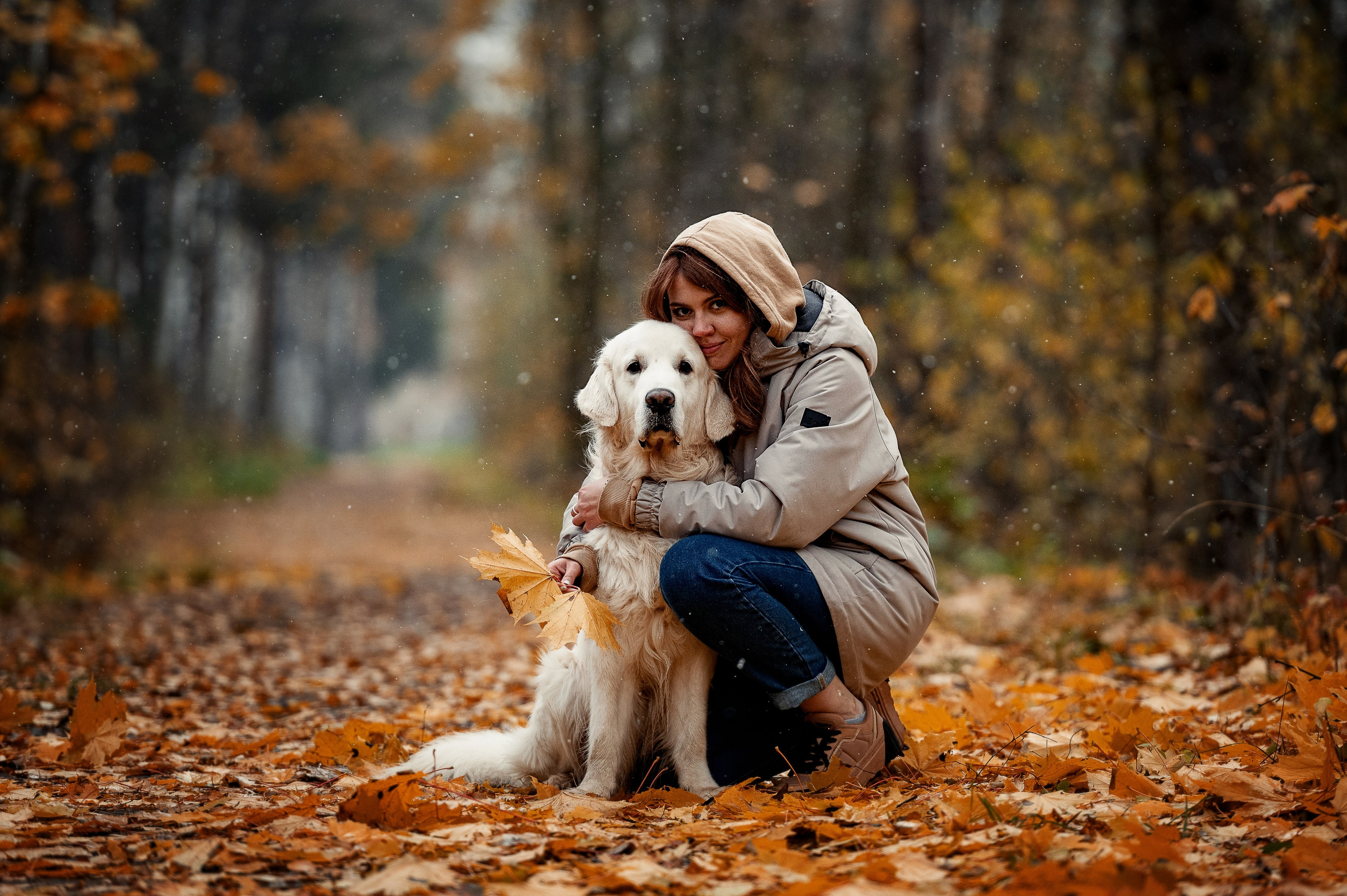 Айс и золотая осень. Фотограф-анималист