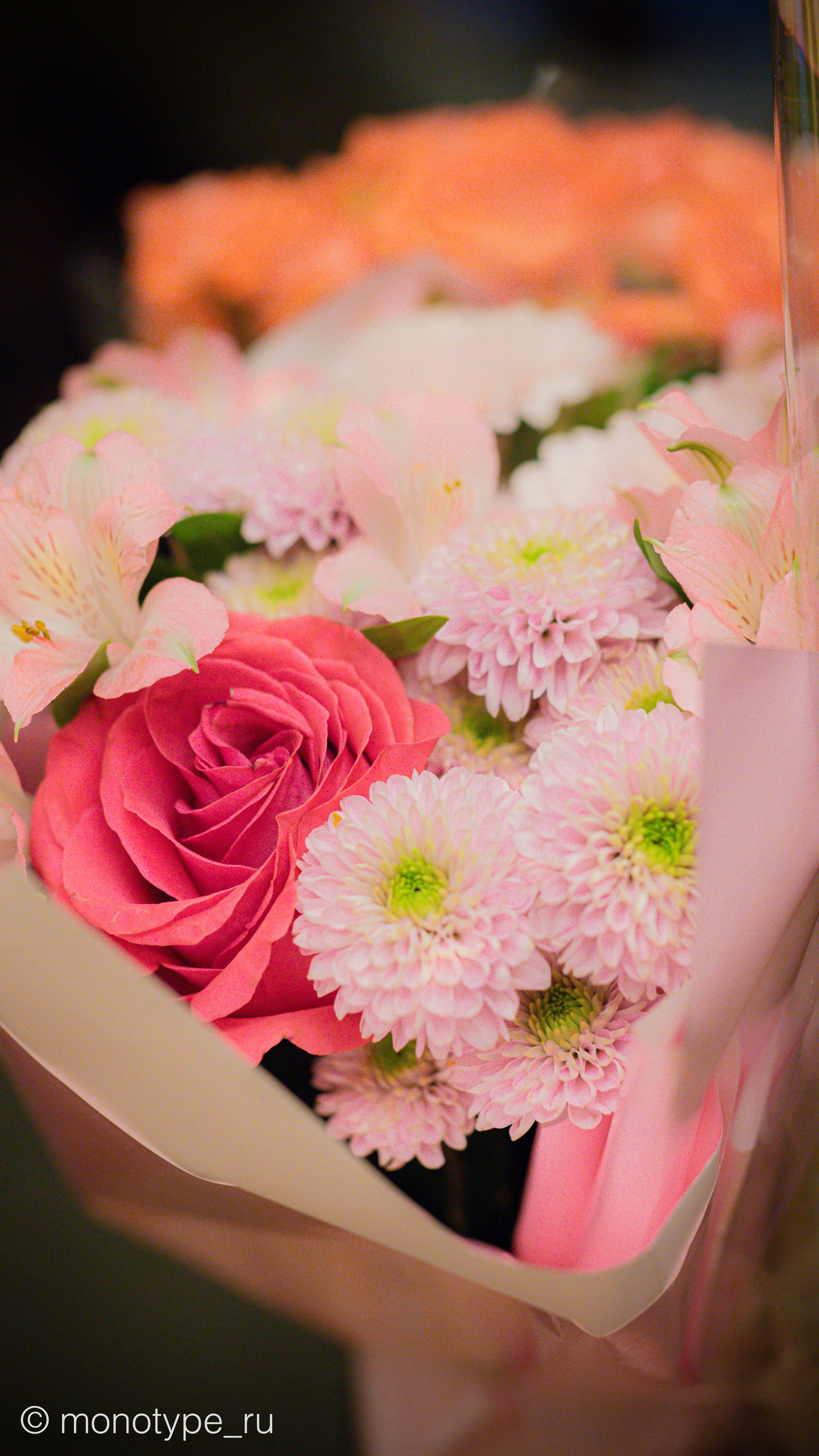 Содружество педагогов и психологов раннего развития. Москва. Награждение дипломами и праздничный ужин