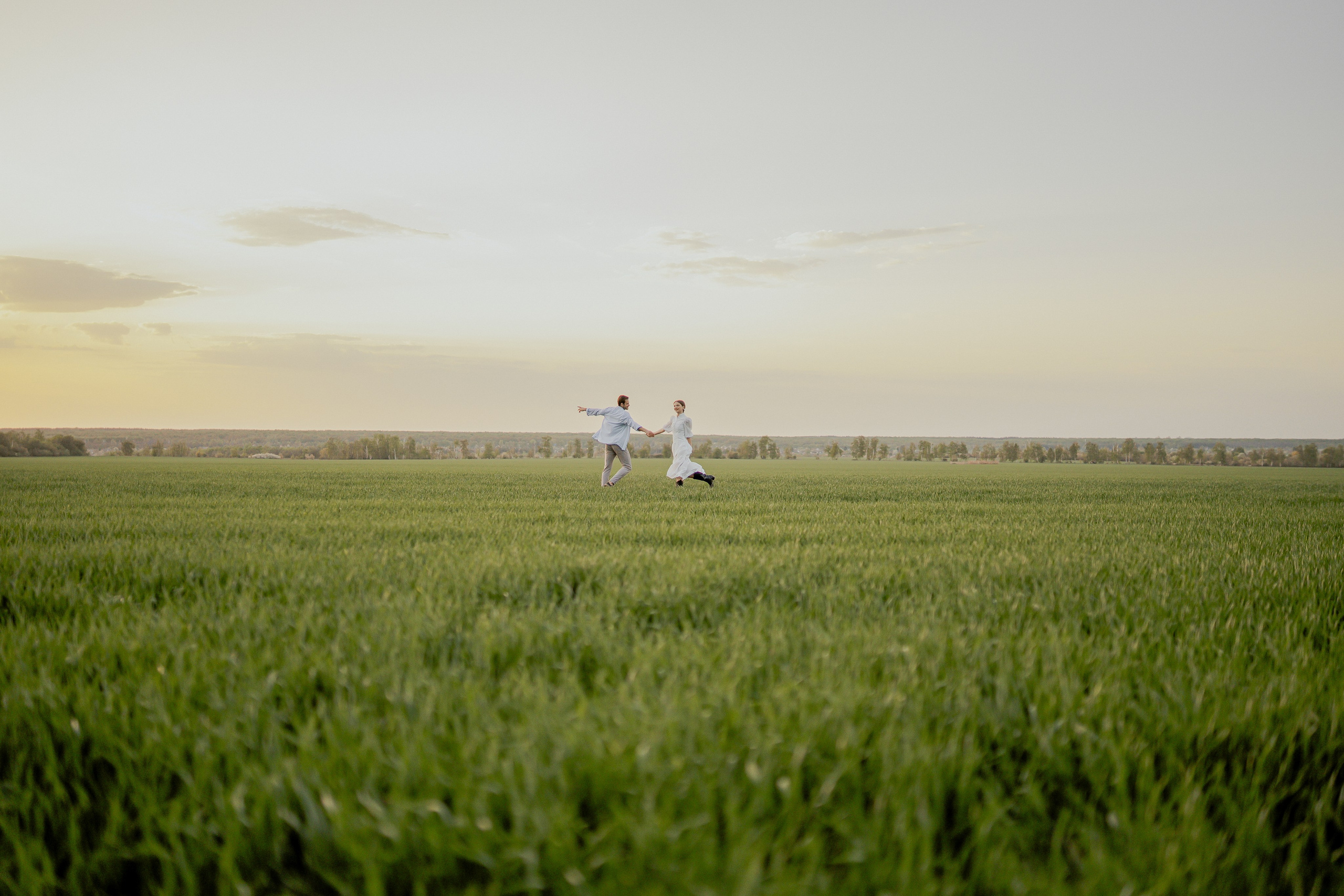 Поле. Фотограф Мария Зайчик