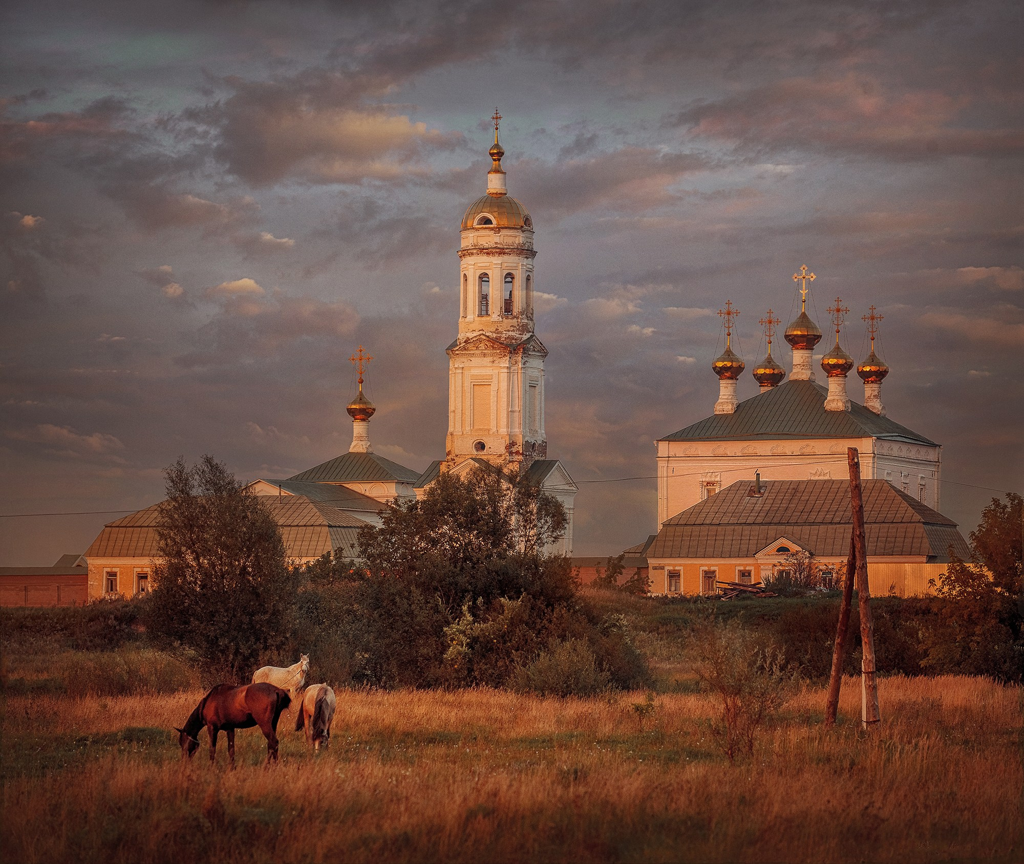 Пейзаж. Детская Конная фотография в Москве Юлия Шепелева
