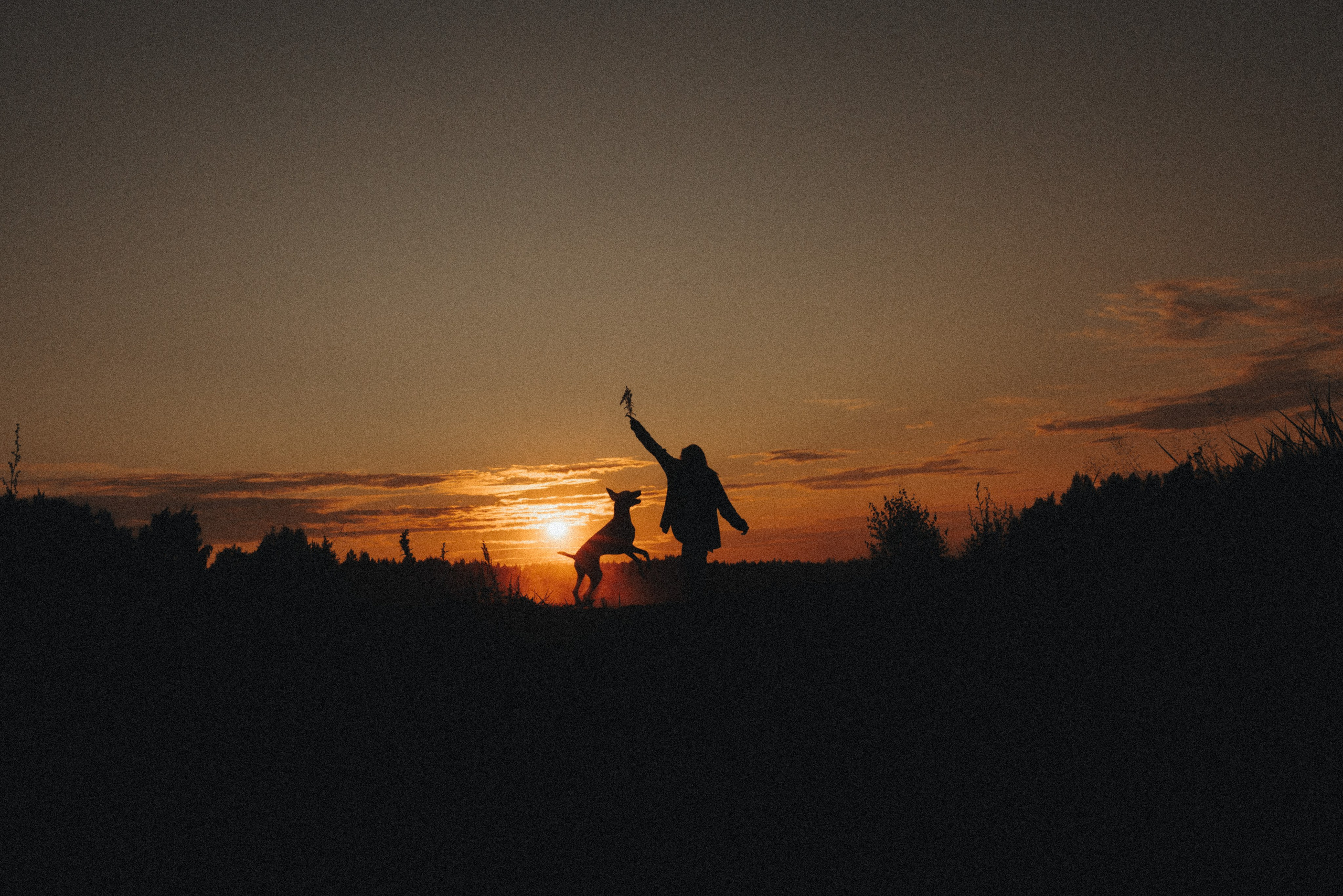 Юля и Эспен. Фотограф анималист Осипчикова Мария