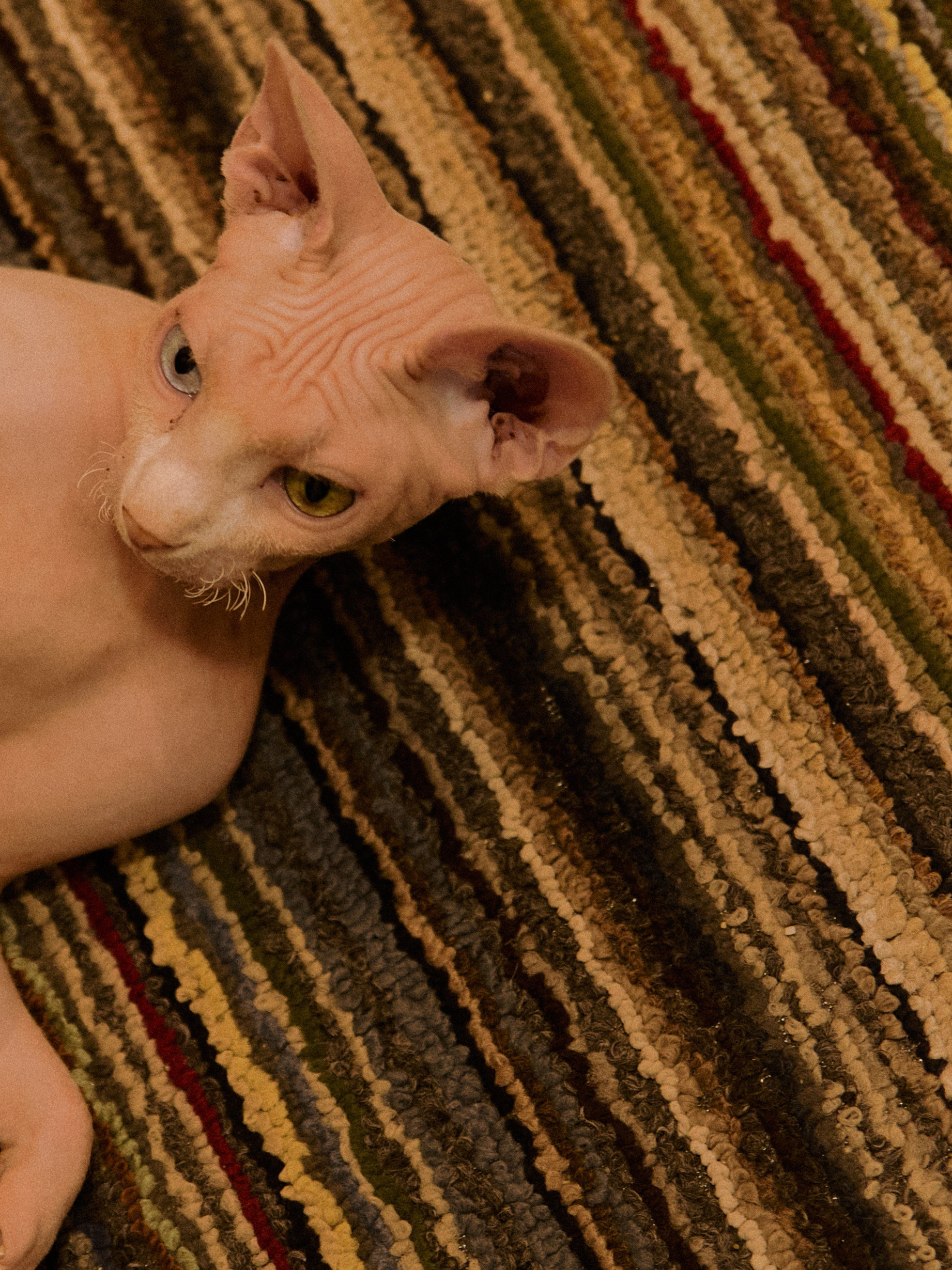 Диптих. Jorgis — фотограф в Хургаде / обучение фотографии