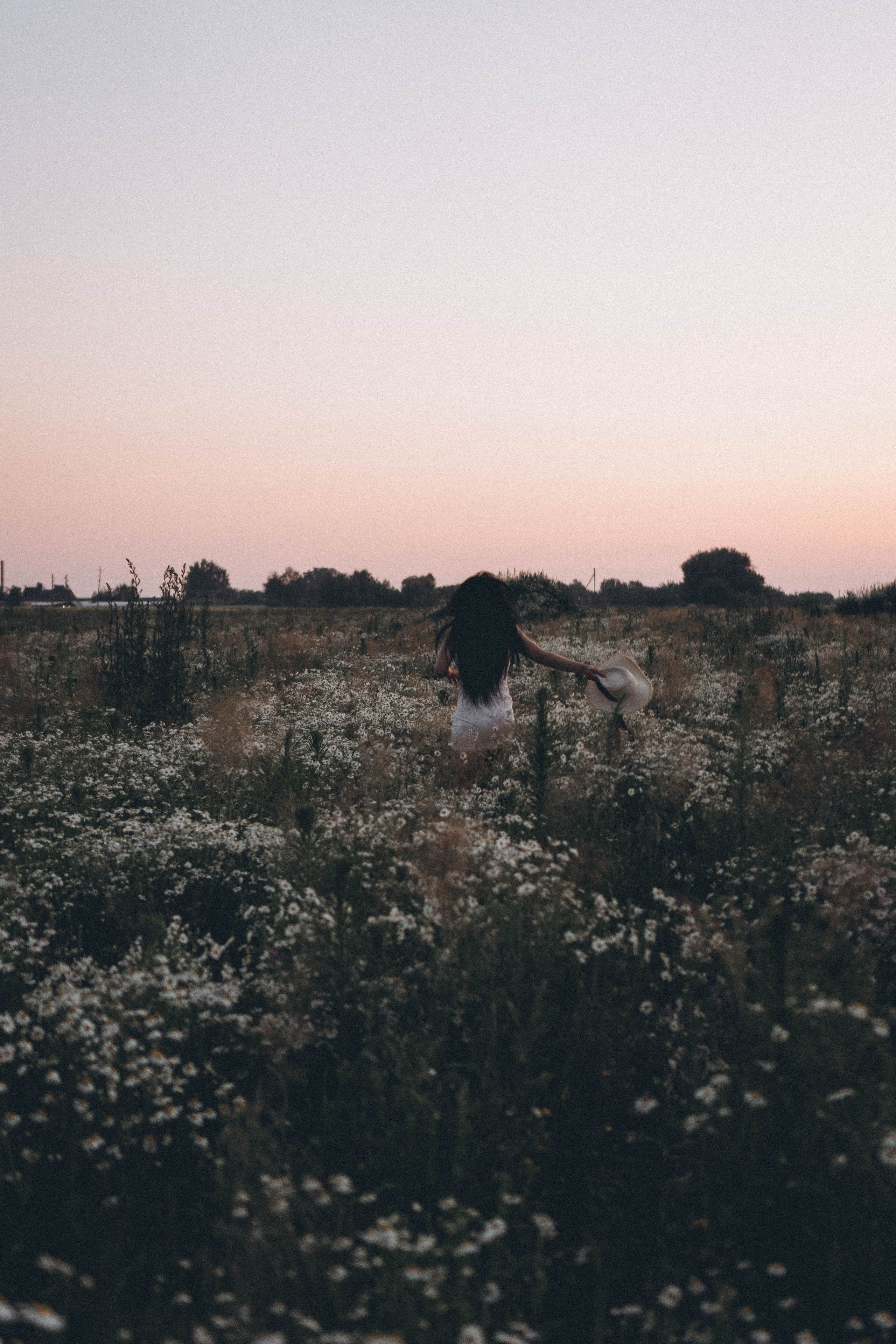 Ромашковое поле. Профессиональный фотограф, Санкт-Петербург — Виктория Богомолова