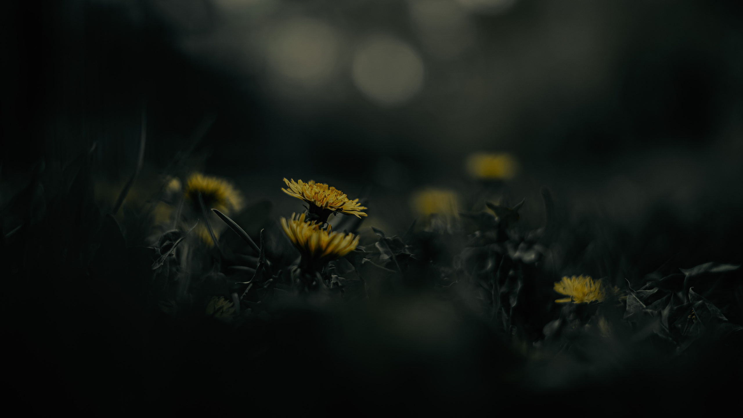 Пейзажи, архитектура, натюрморты. Видеопродакшен | Фотосъёмка | Filimonov & Kirsanova