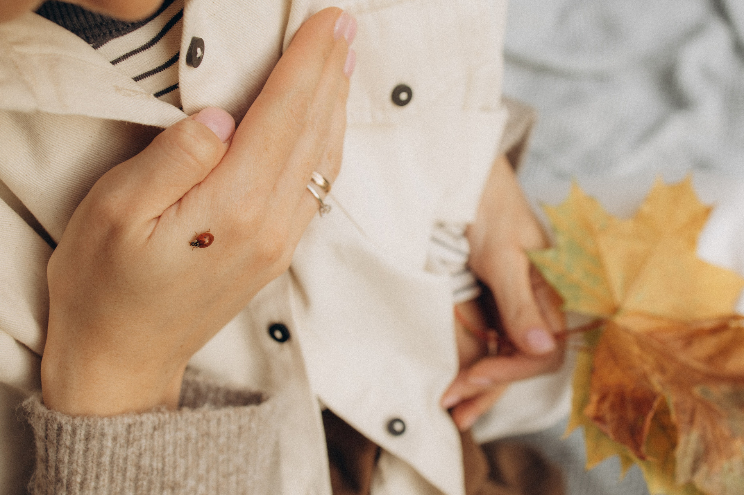 Марку 3 годика. Семейный фотограф в Москве Анастасия Шалда