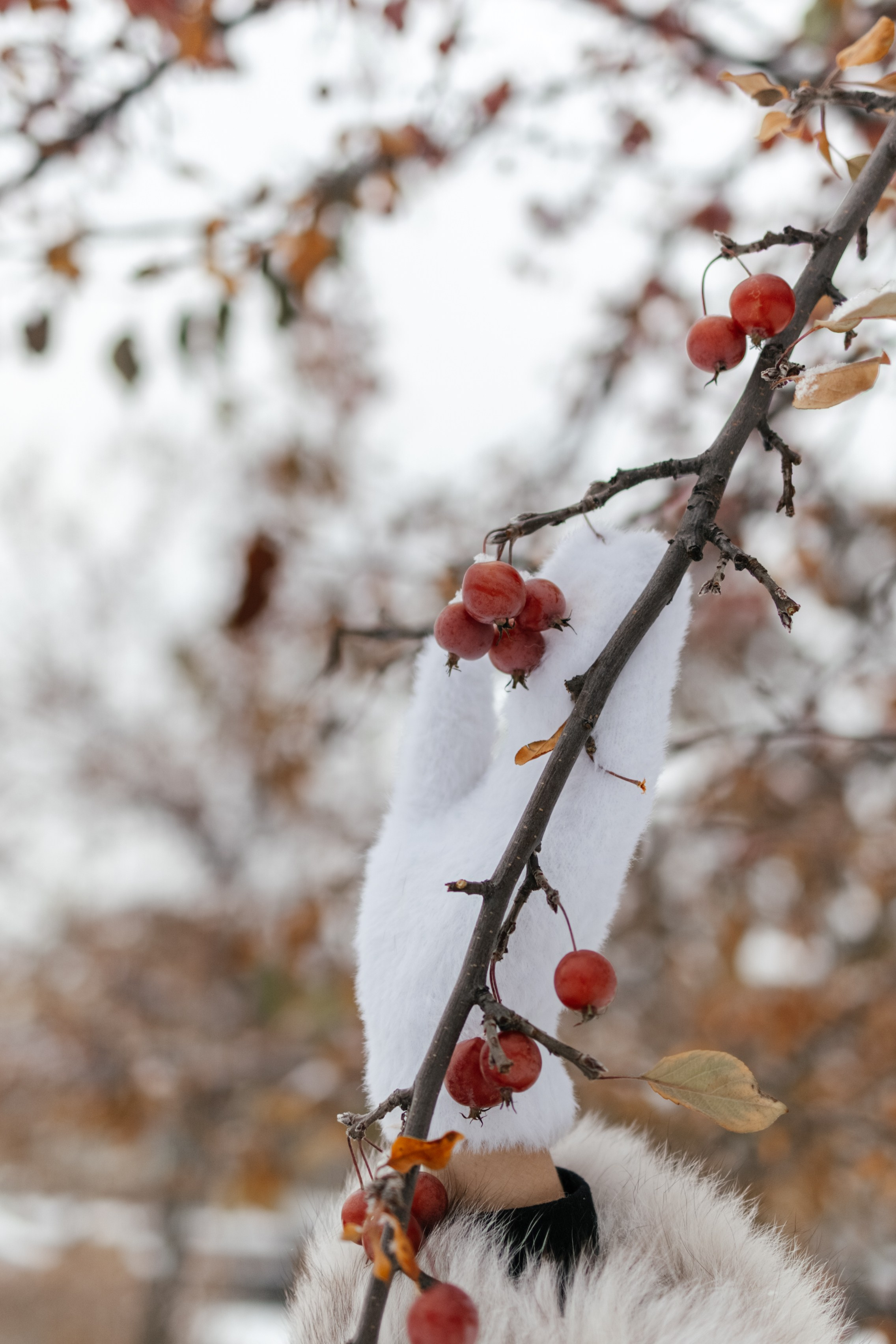 Мария. Lifestyle фотограф в Санкт-Петербурге Анна Щекалева