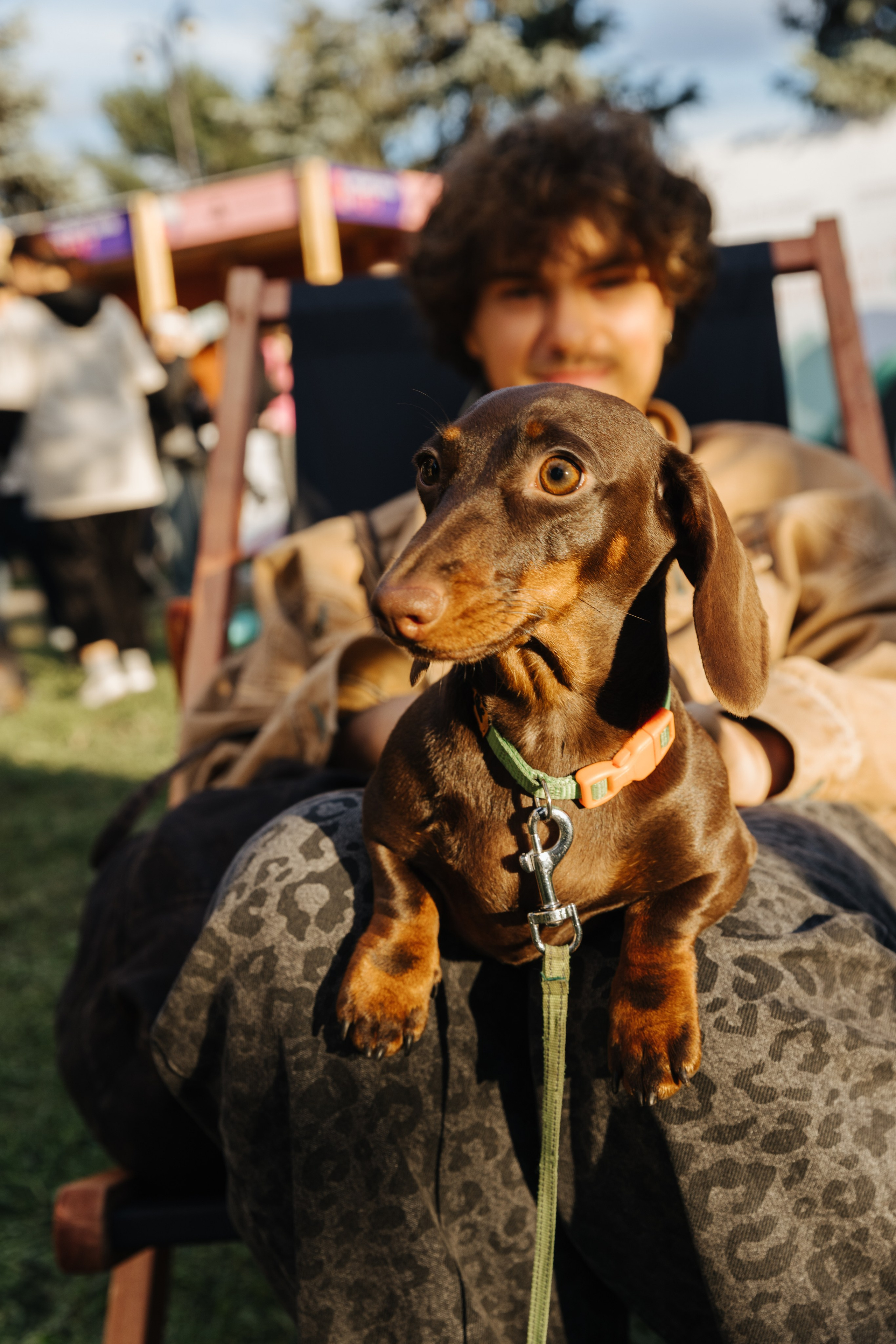 Хвостатый репортаж. Аксана Лисовская фотограф в Москве. Фотографии с характером
