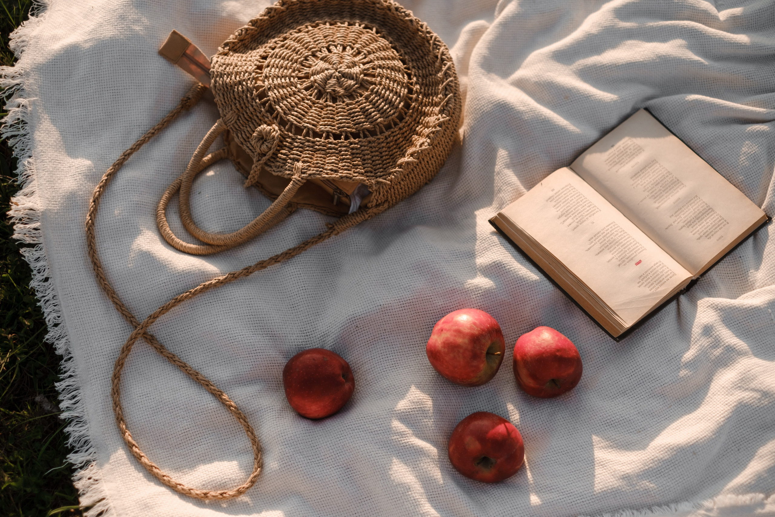 Детёныш. Свадебный фотограф в Брянске Иванникова Елена