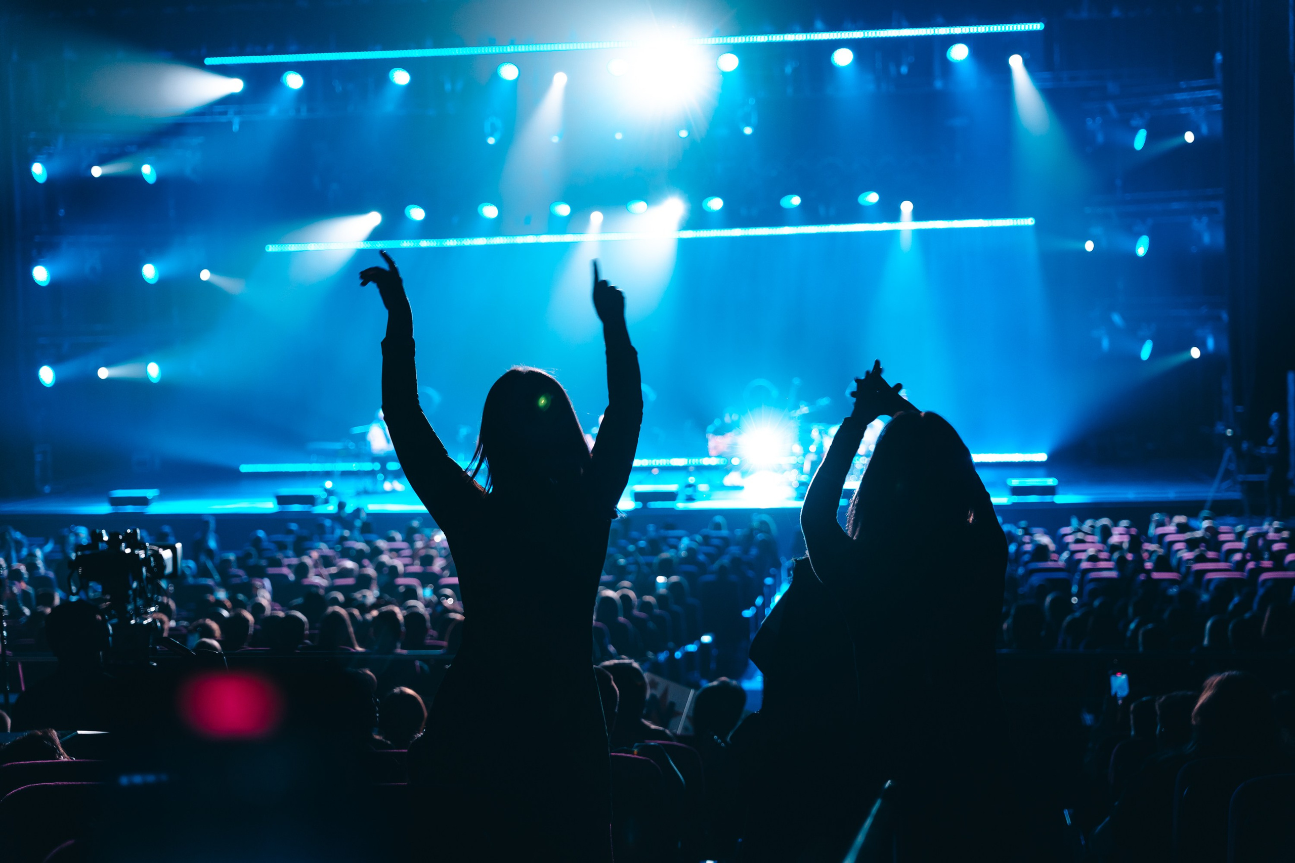 Звери. Магия музыки в кадре: Концертная Фотография