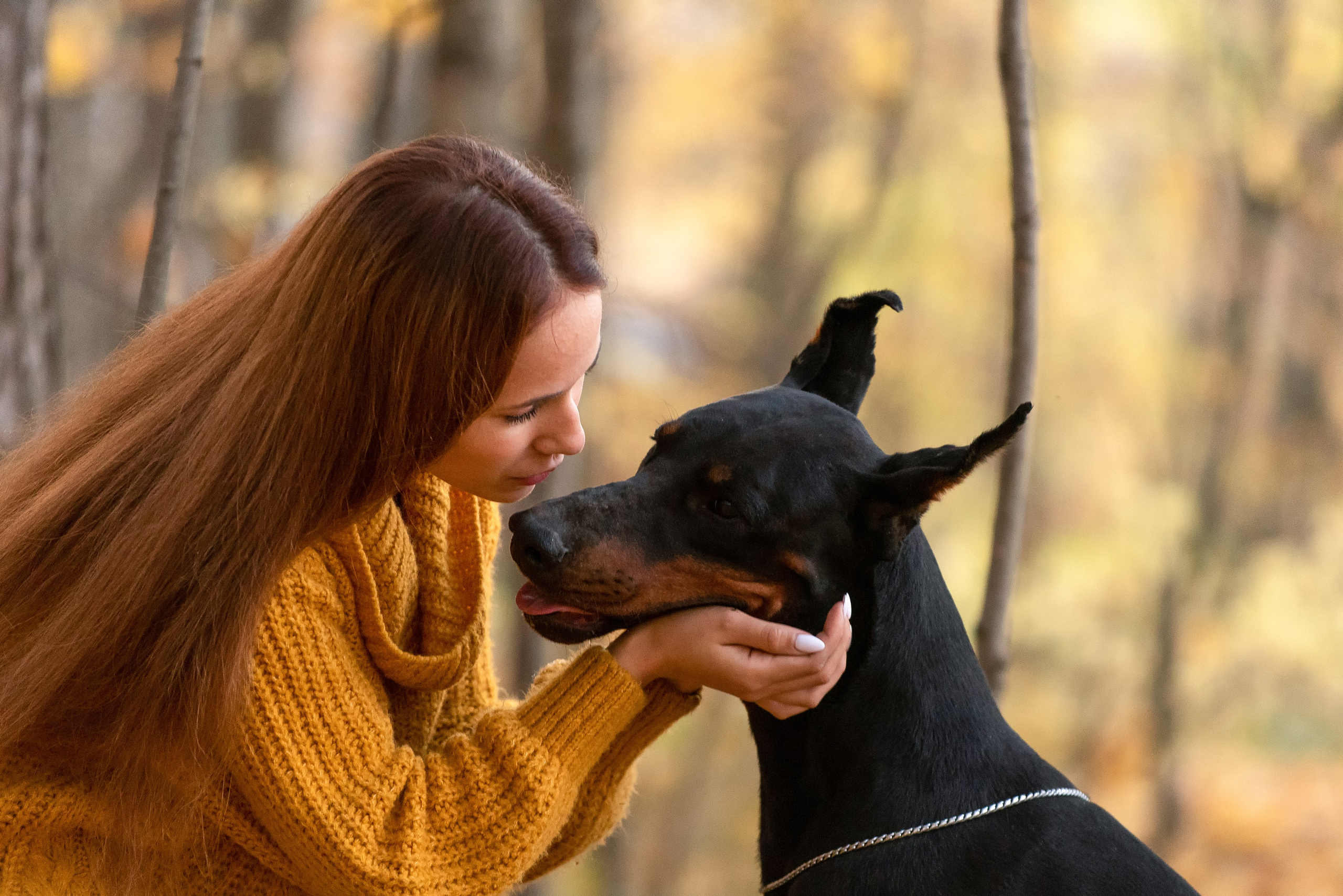Ева и Тео. Фотограф анималист в Казани Алина Сулейманова. Фотограф животных