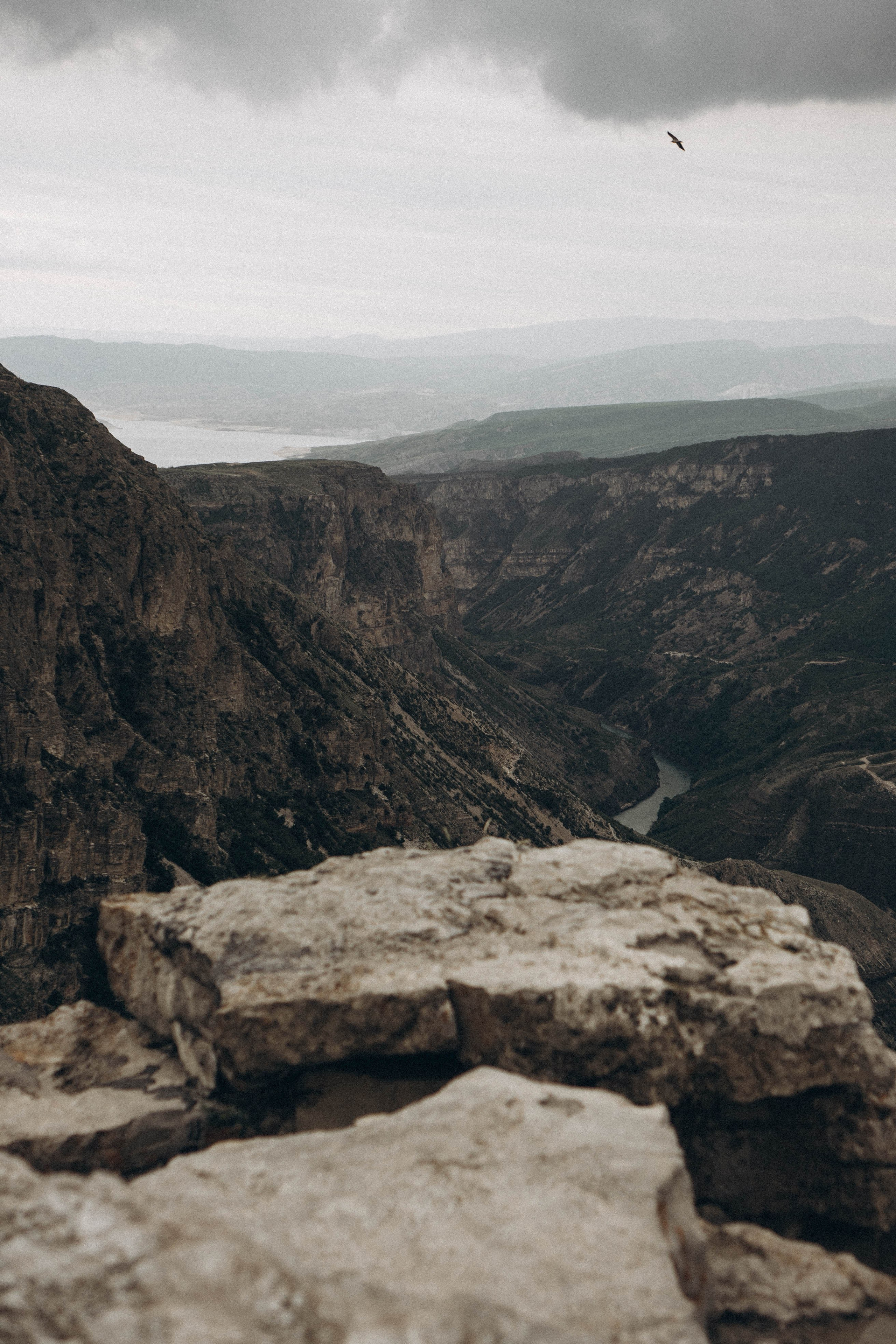 Кавказ. Профессиональный фотограф, Санкт-Петербург — Виктория Богомолова
