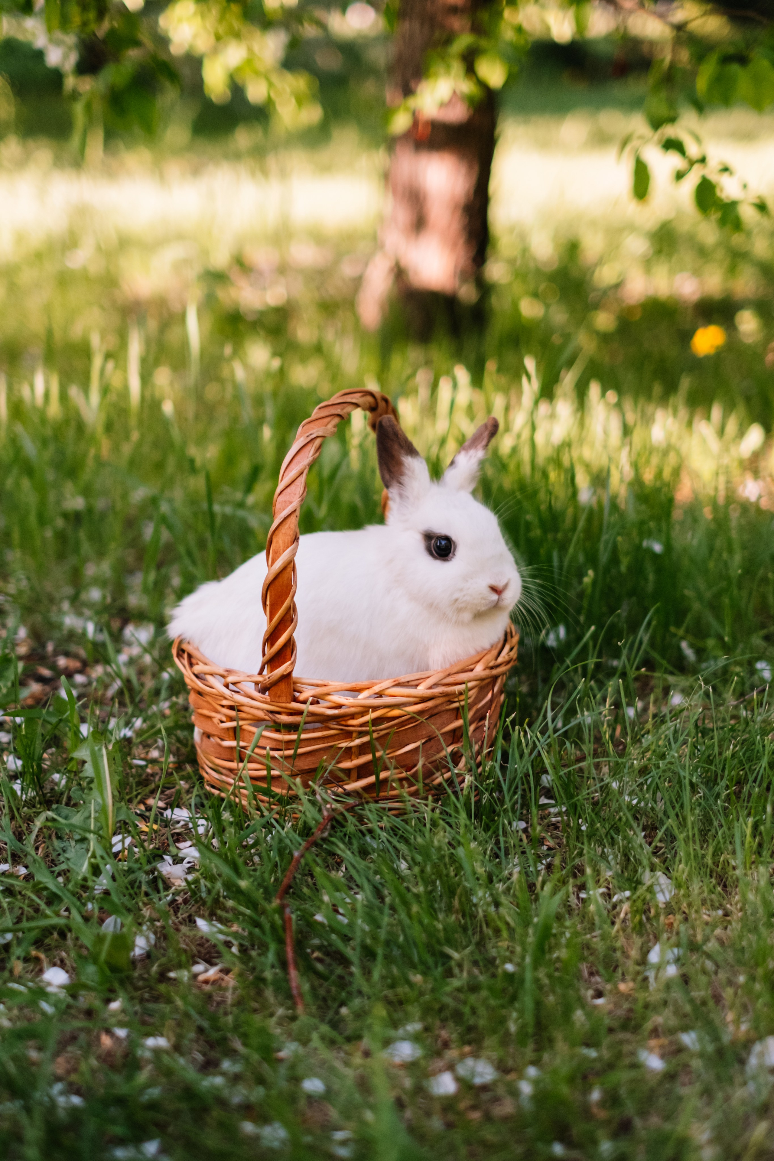 Весна через…. Фотограф в Челябинске I Надин Палмер