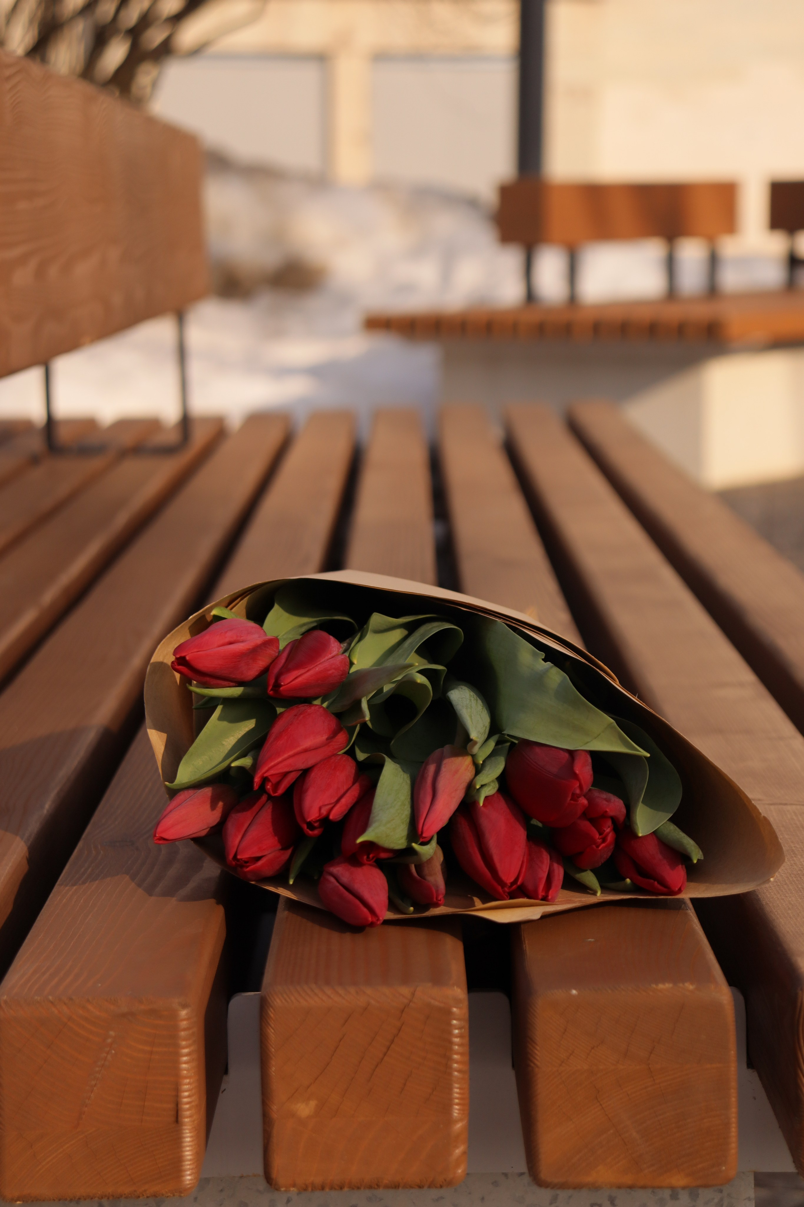 Весенняя прогулка с Викторией. Фотограф Тамара Поликанова