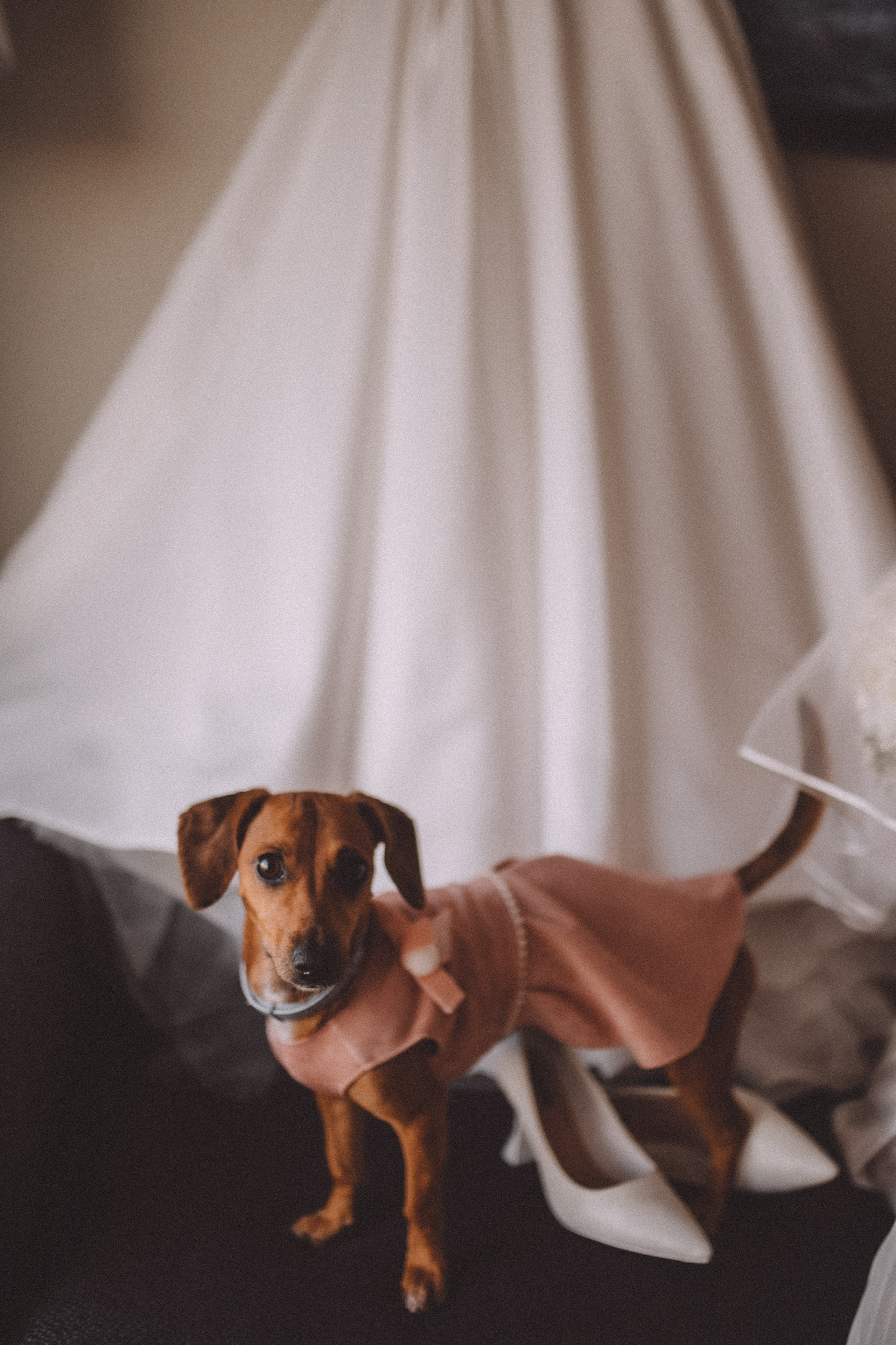 Никита и Дарья. Свадебный фотограф в Санкт-Петербурге