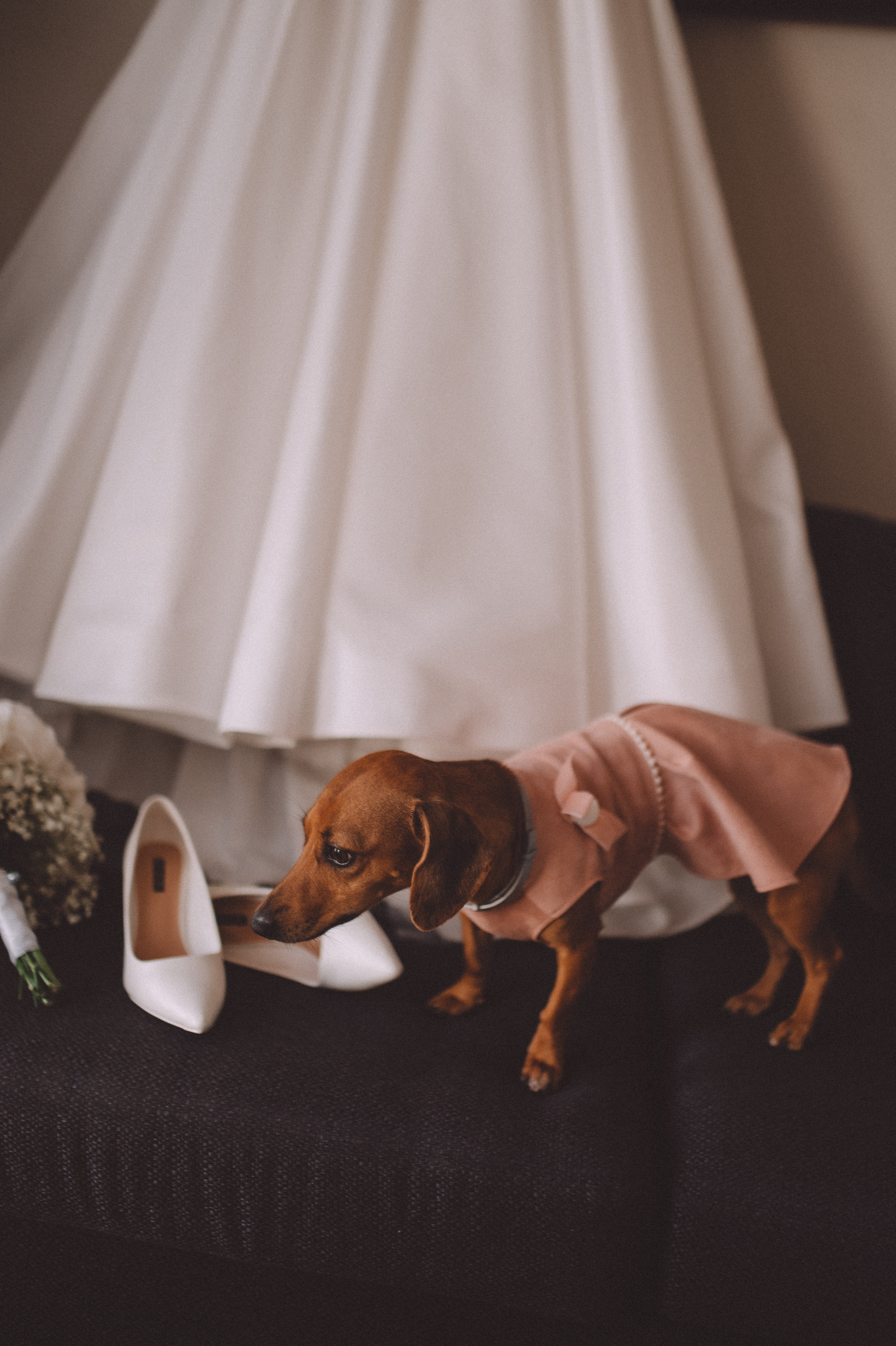 Никита и Дарья. Свадебный фотограф в Санкт-Петербурге