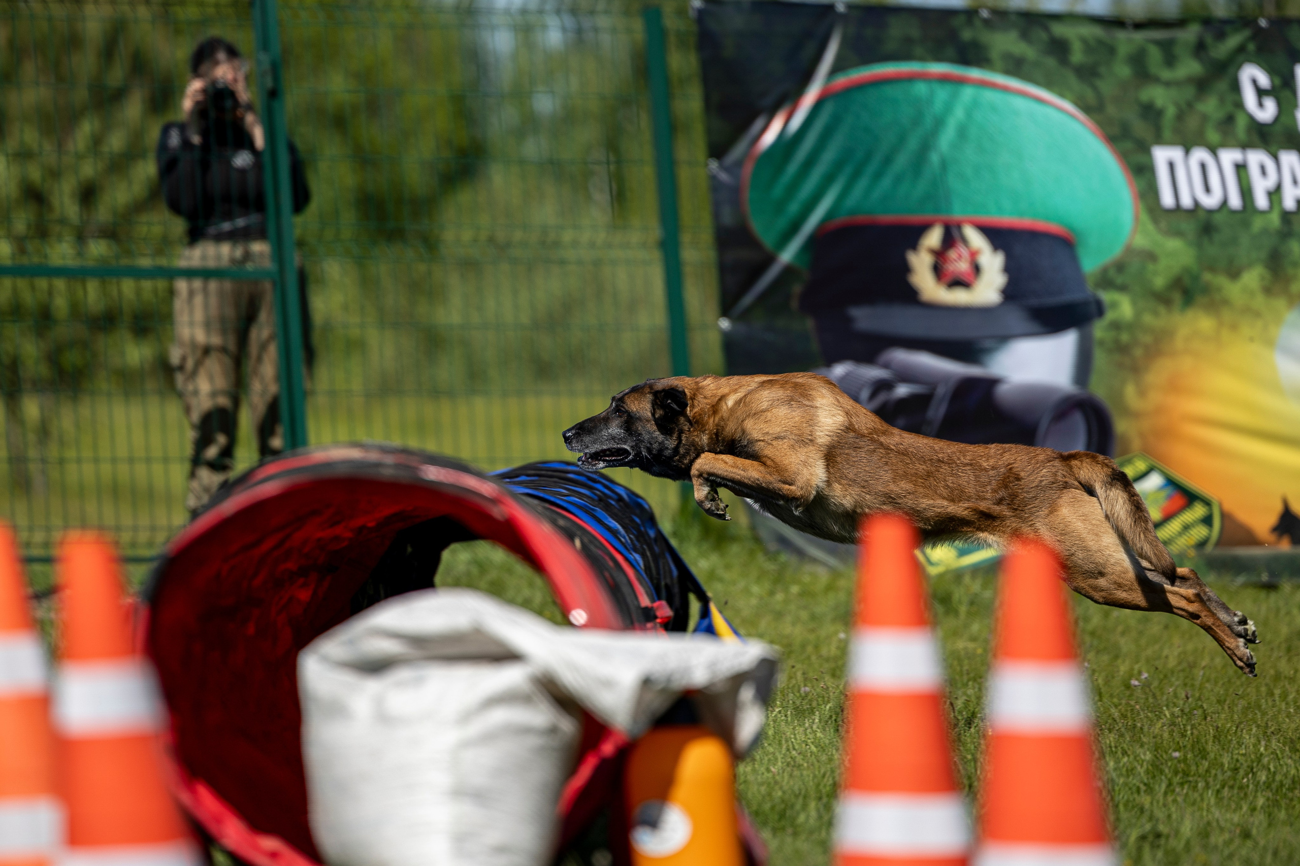 Испытания по мондьорингу в Нижнем Новгороде. Фотограф-анималист Анна Маринич