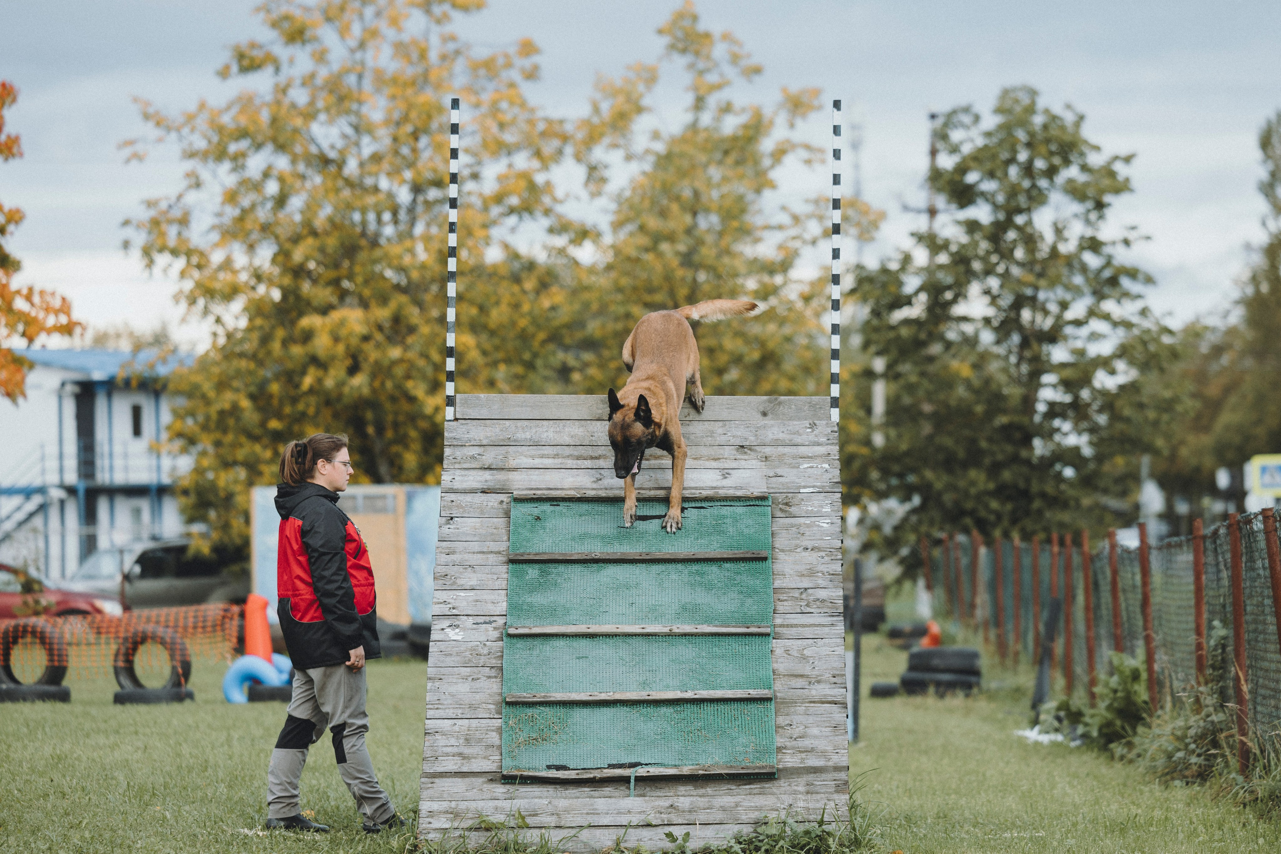Испытания по мондьорингу г. Пушкин 29.09.2024. Фотограф-анималист Анна Маринич