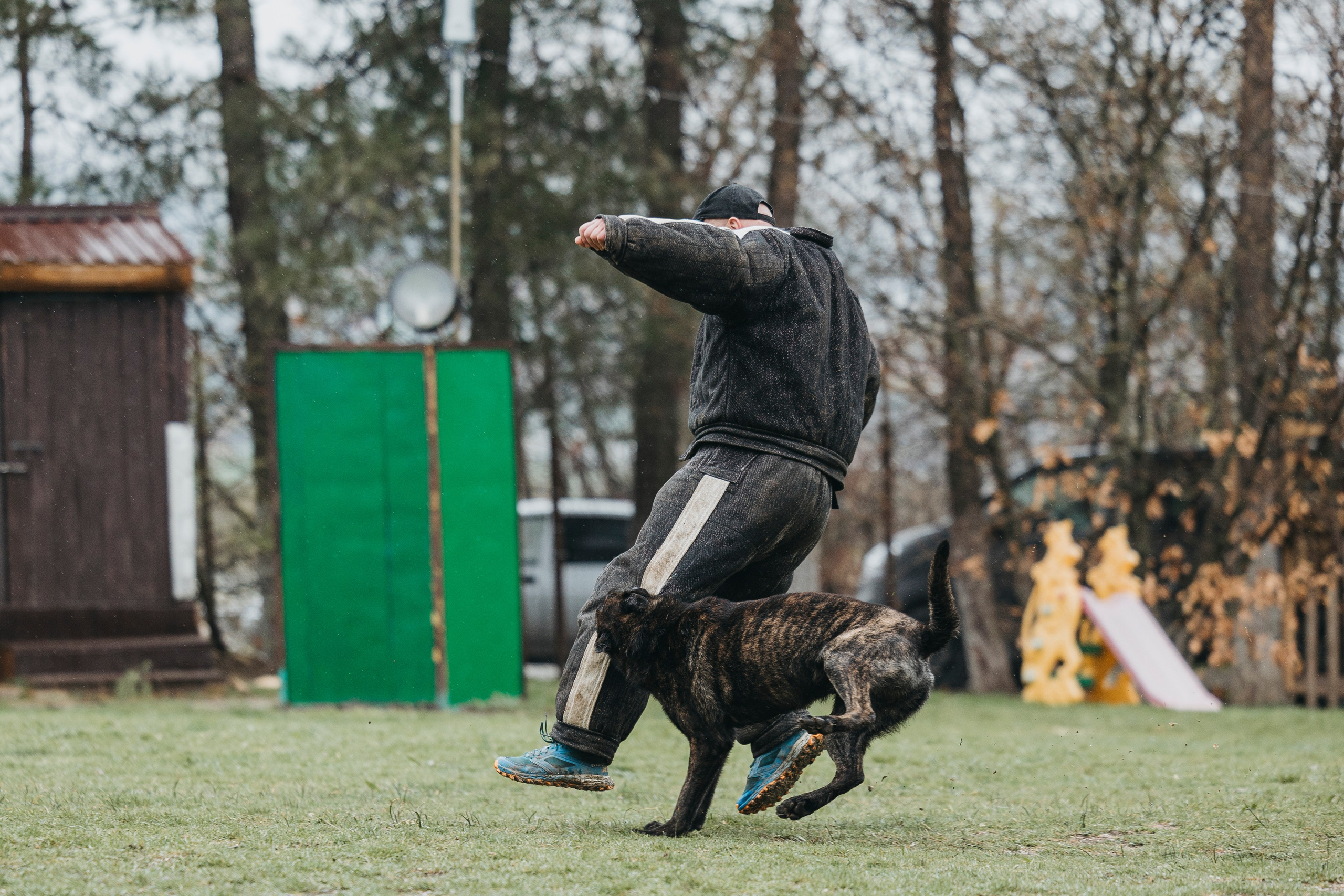 Геленджик Мондьоринг. Фотограф-анималист Анна Маринич