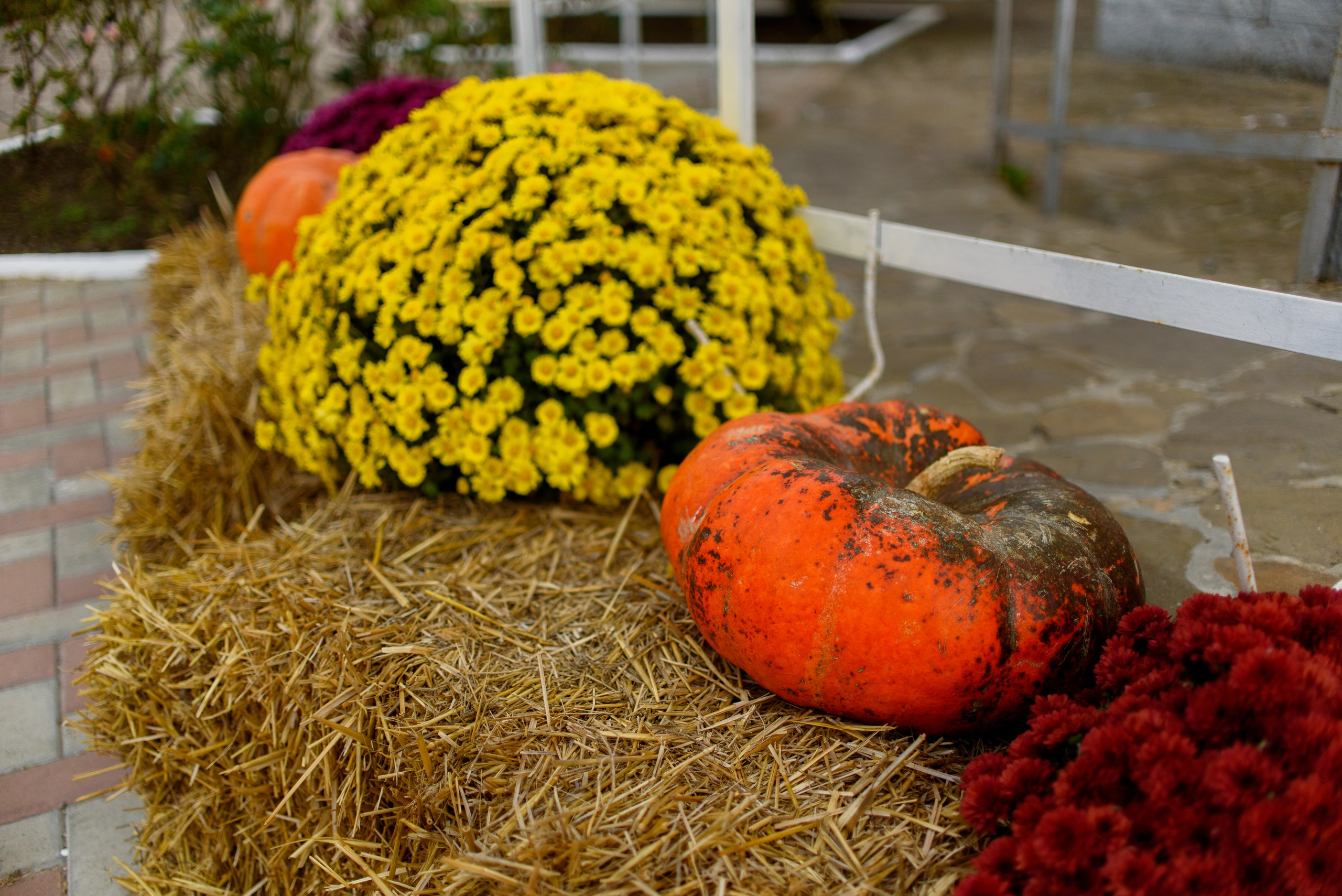 День памяти Казанской иконы Божьей Матери 4.11.2023. Семейный и свадебный фотограф в Феодосии и Коктебеле