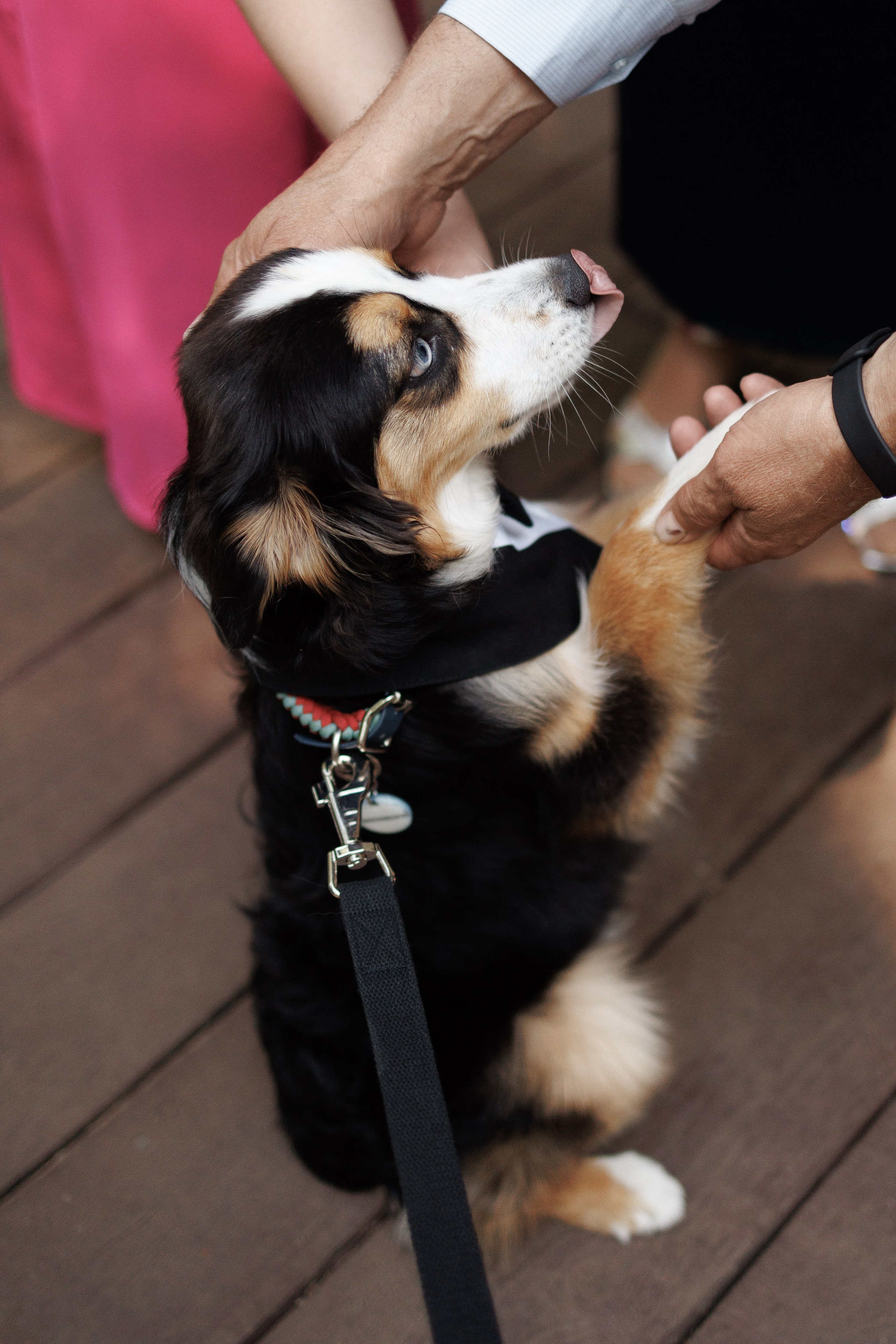 Sí!. Свадебный фотограф в Москве | Профессиональный фотограф | Выгодные цены на услуги