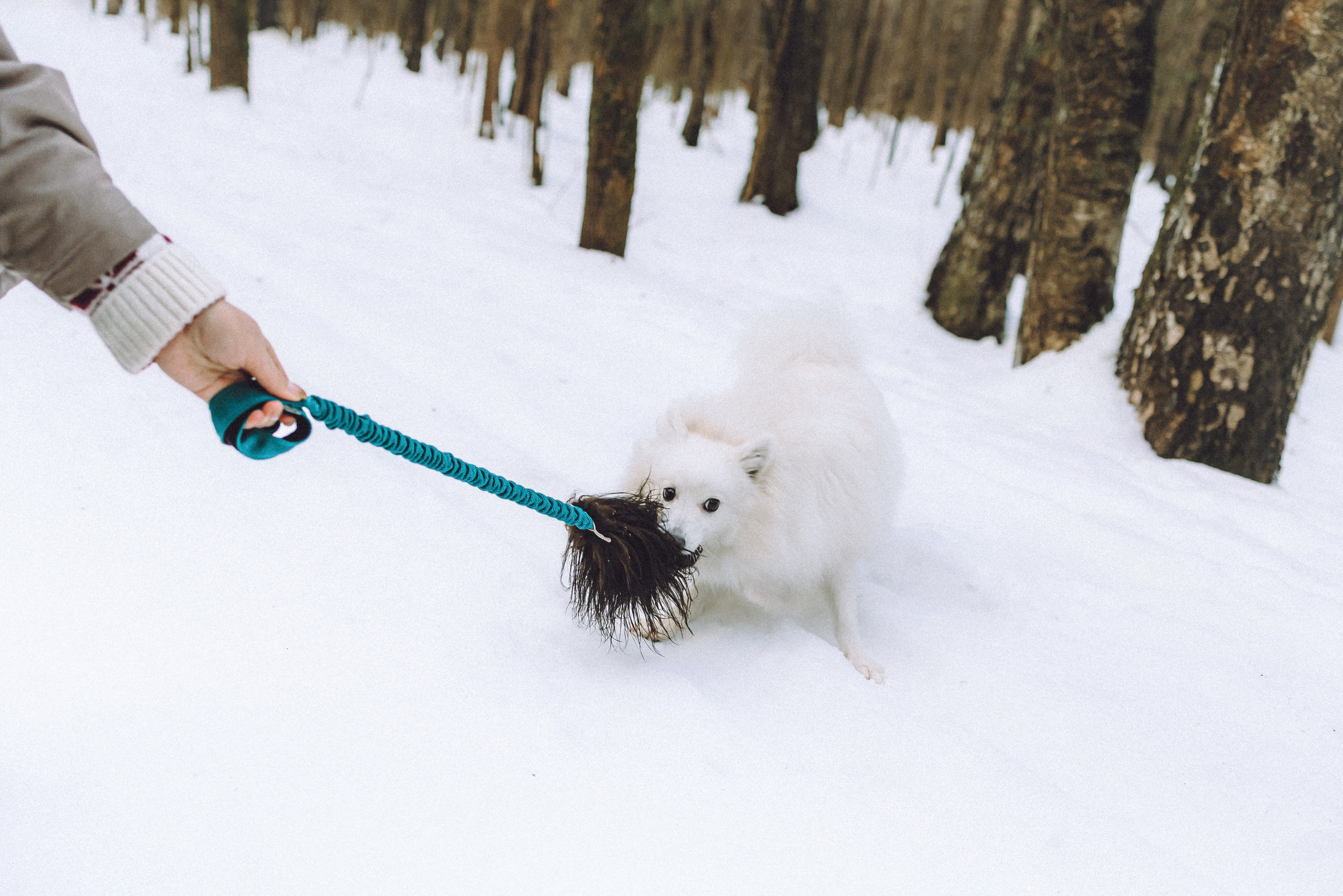 Шани и ее семья