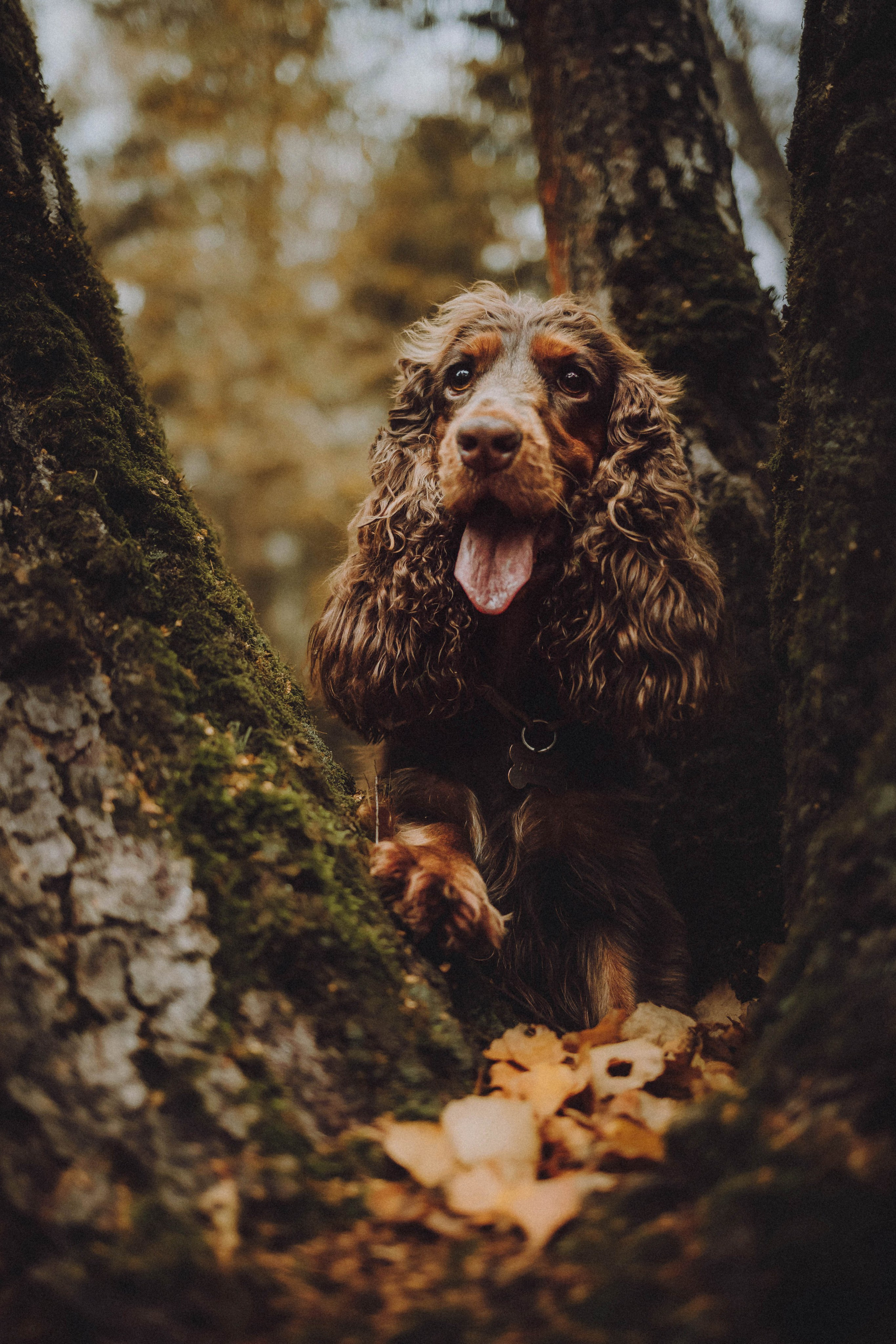 Настя, Саша и Эстер