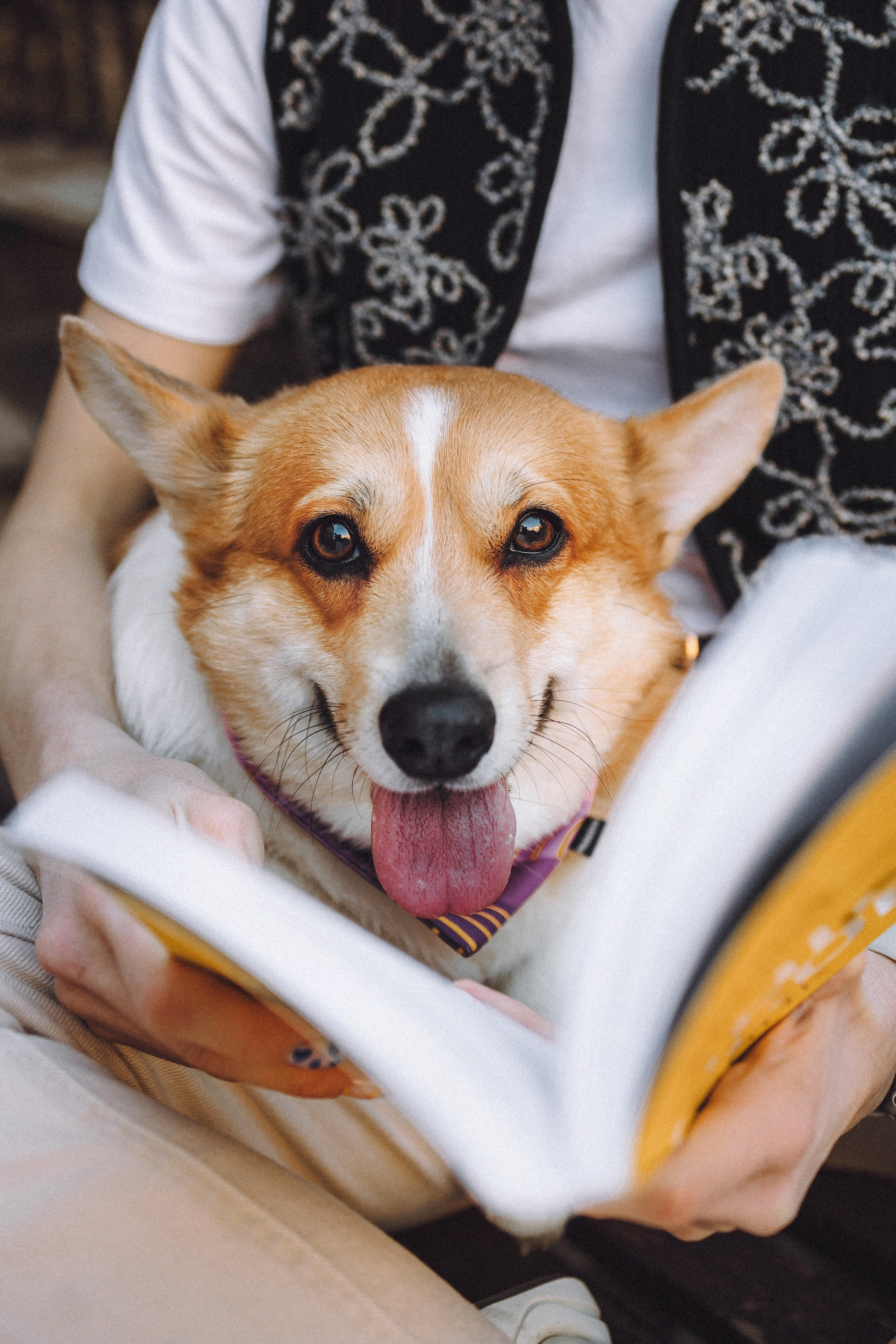 Вика и Мейзи