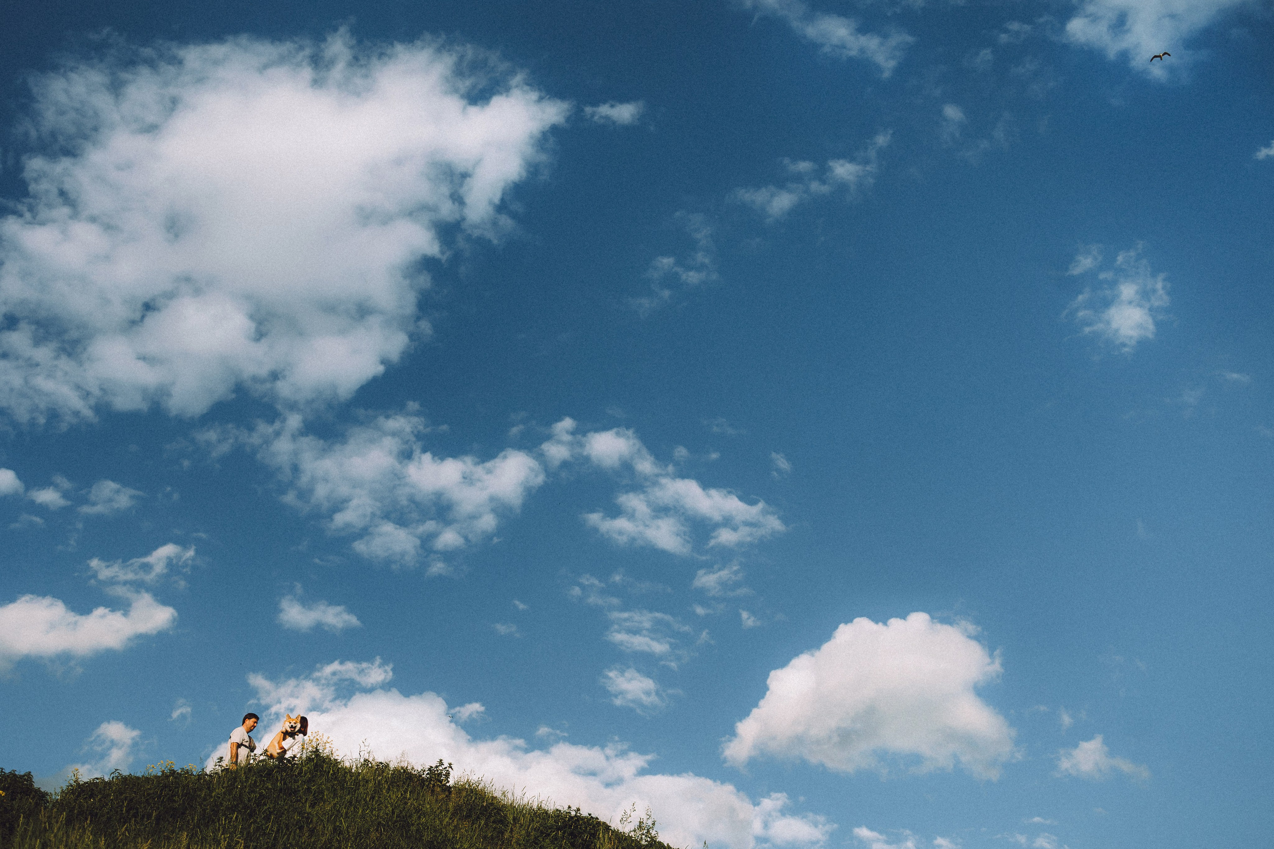 Вирджик и его семья