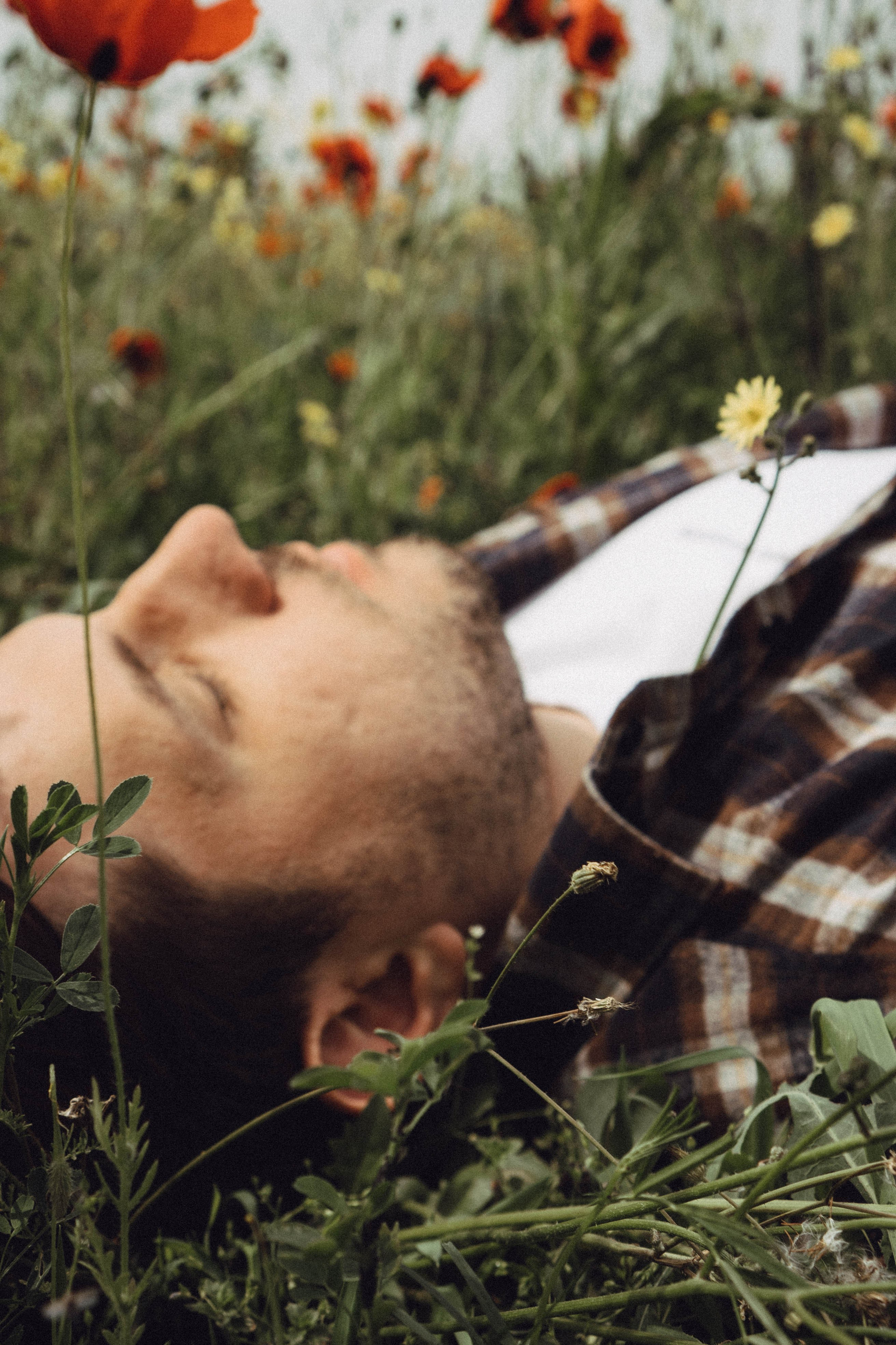 Маки. Профессиональный фотограф, Санкт-Петербург — Виктория Богомолова