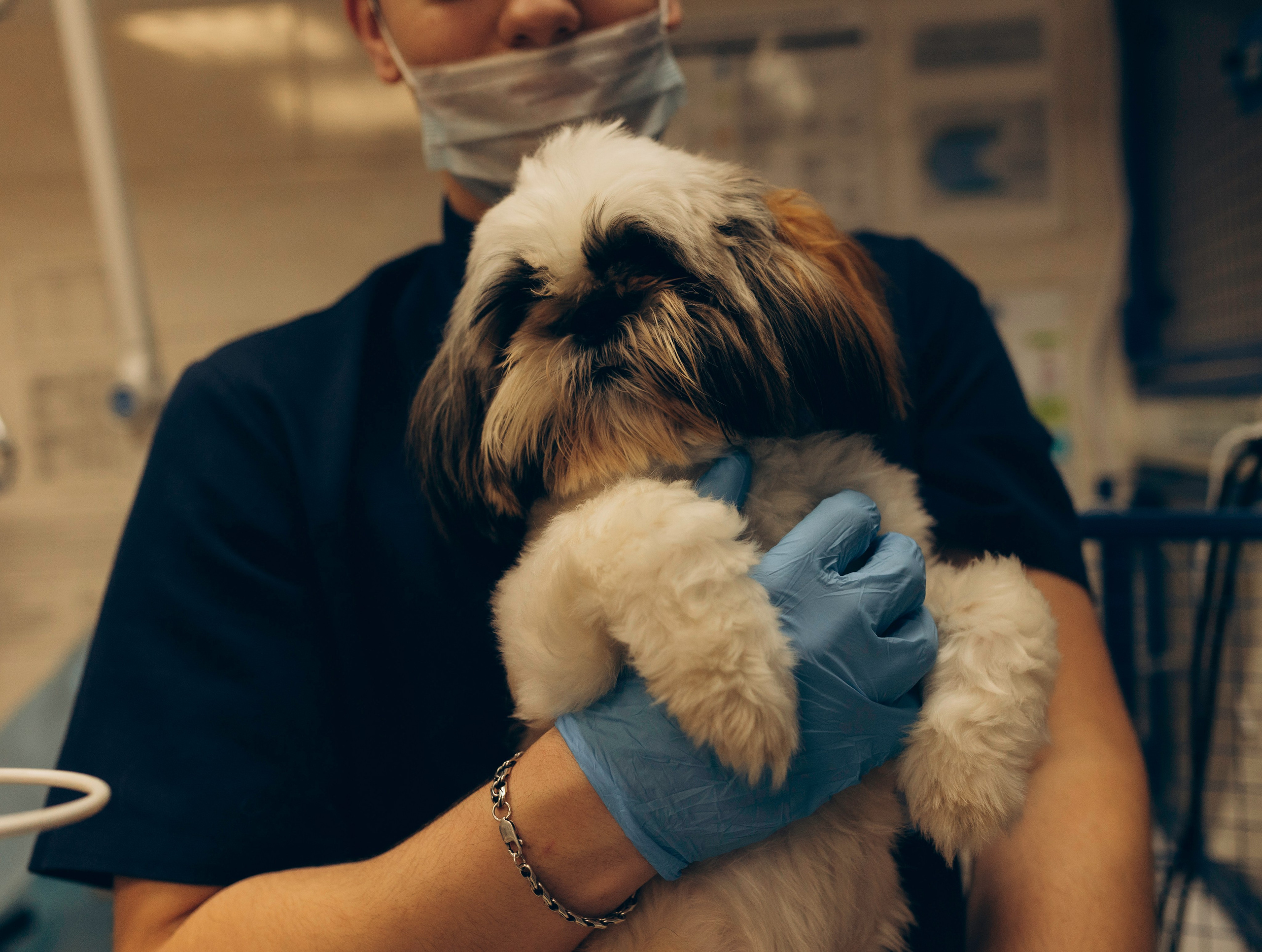 VetLife. Татьяна Афонина | Фотограф