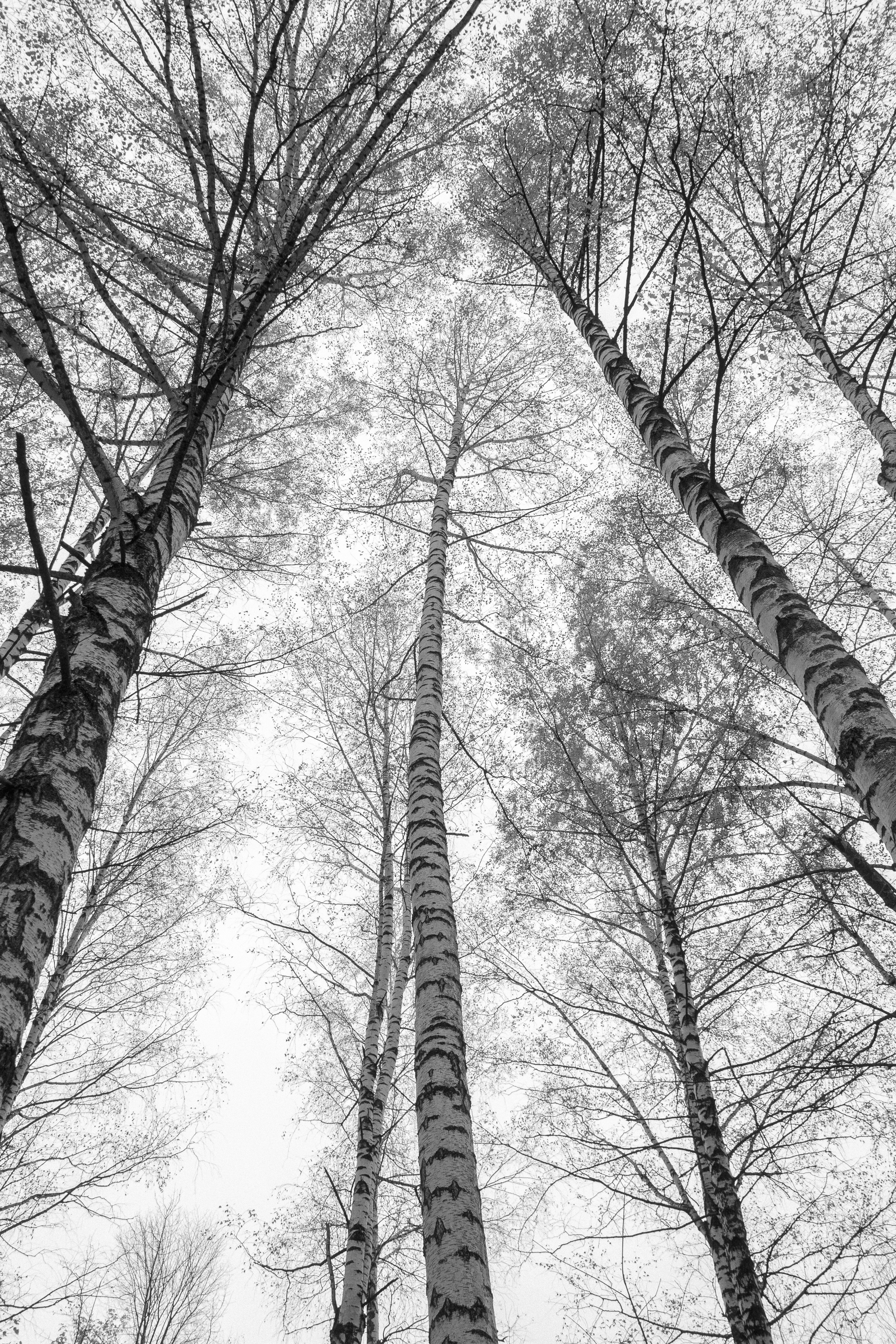 Русско-Немецкая Швейцария. Арсений Марасинский — фотограф в Казани