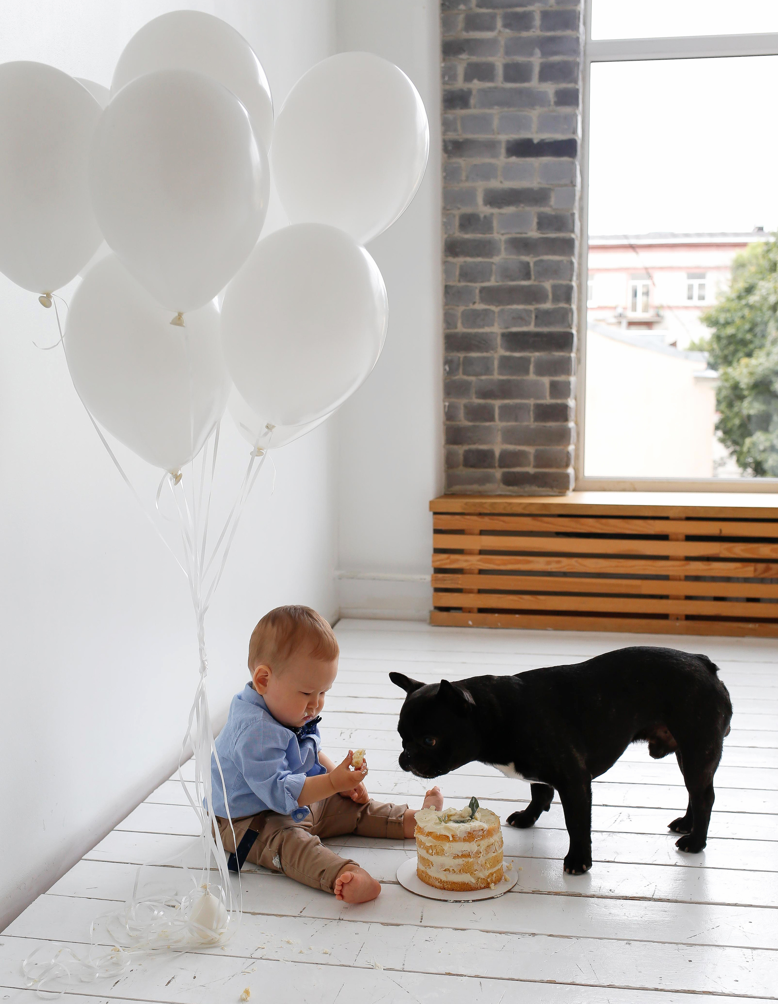 Матвей с другом рушат торт). Детский и семейный фотограф Санкт-Петербург, фотосессия Спб