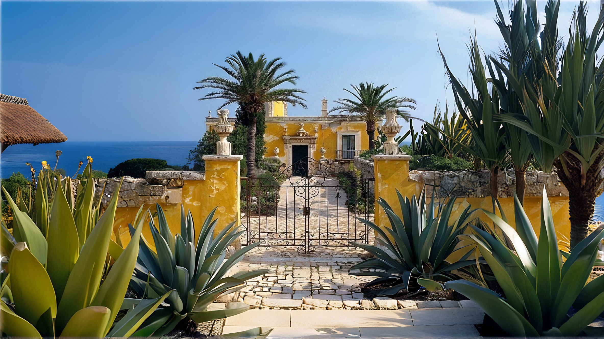 Mi amore. Elizabeth Marriott