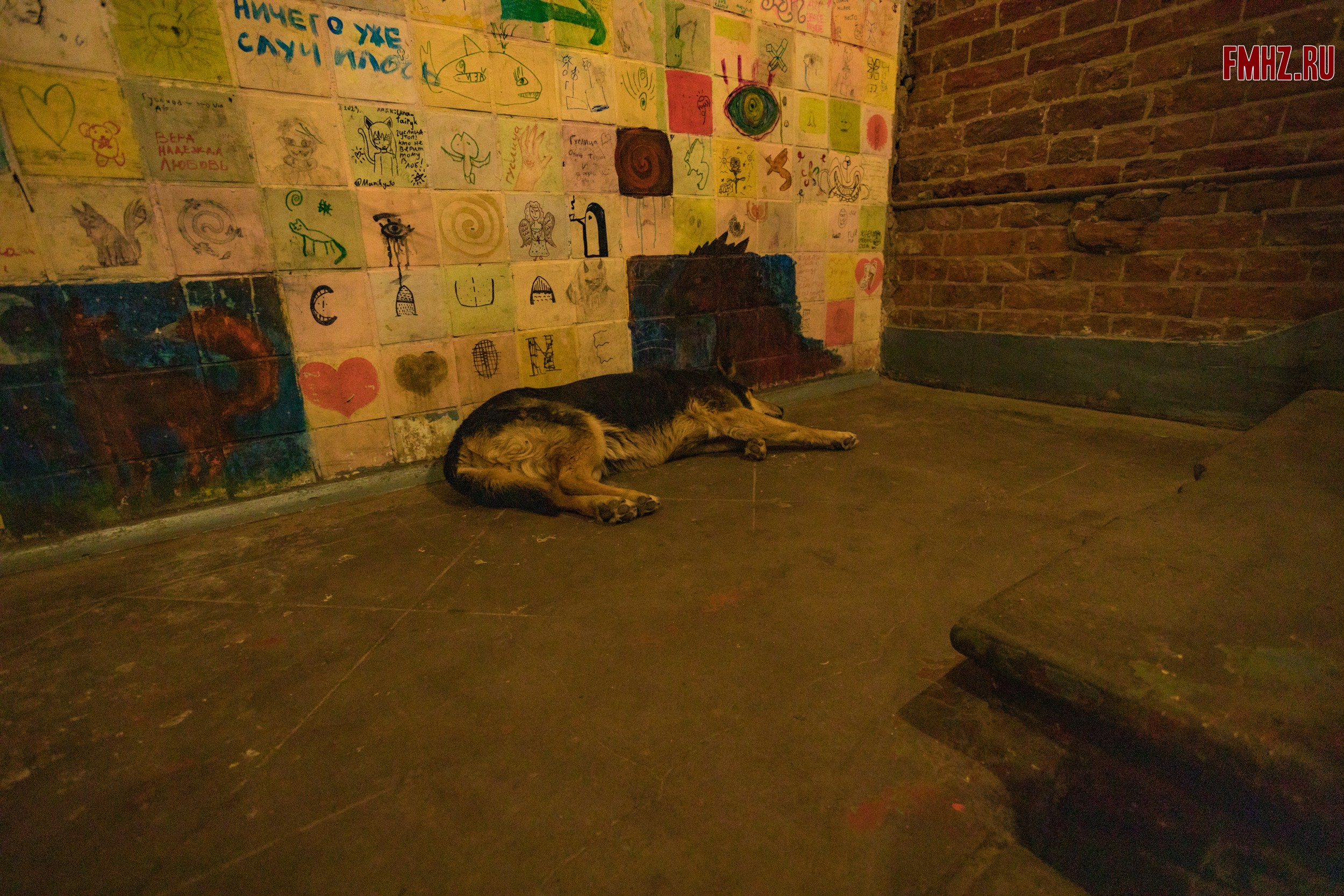 Егорьевск со Злобычем. Репортажный фотограф Борис Padre Кривошеев