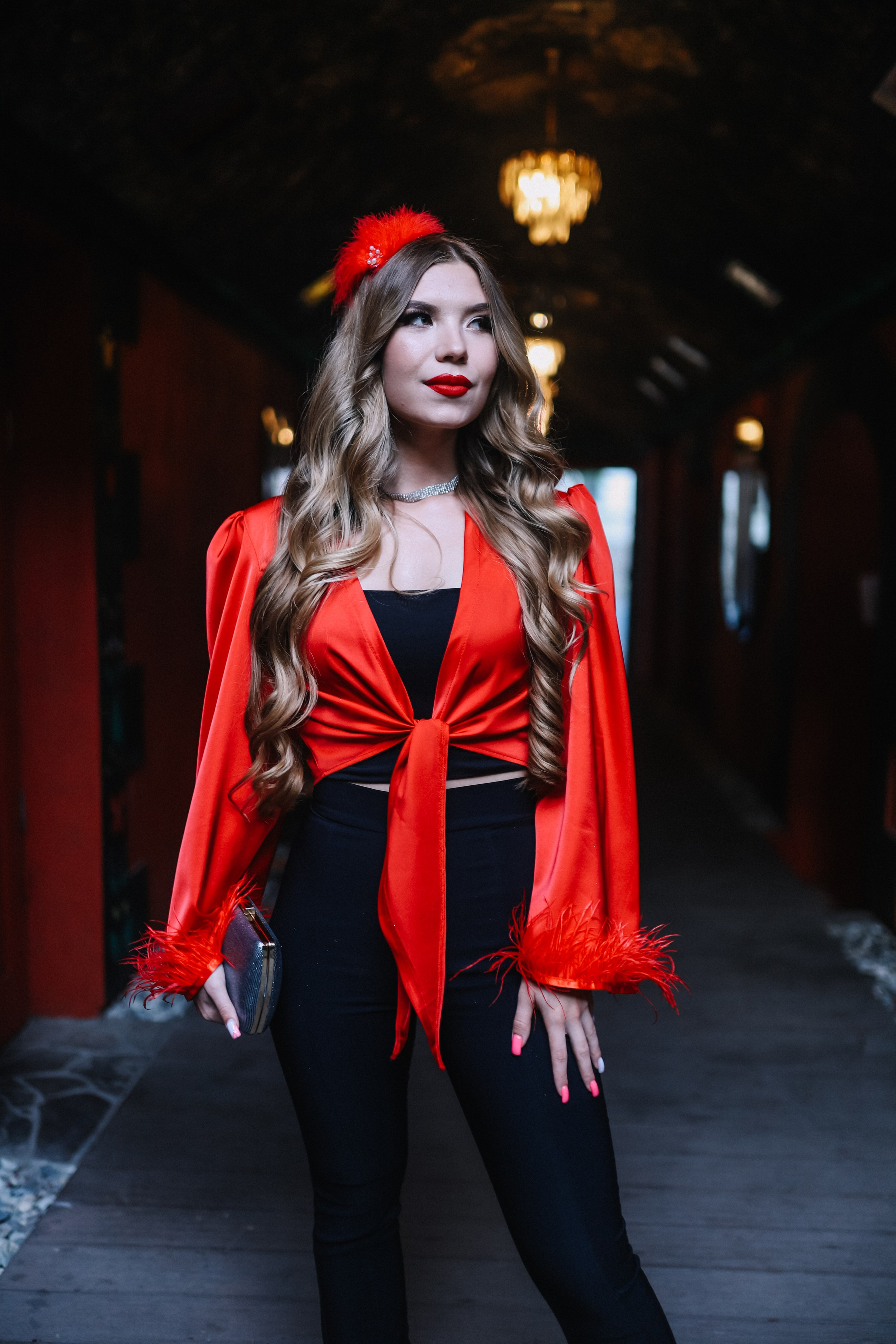 25.Диана и гости