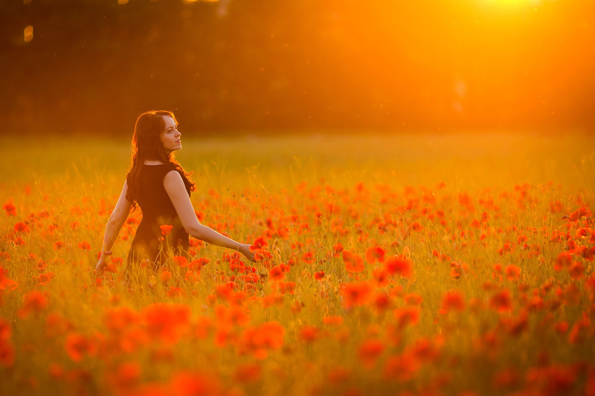 Индивидуальные фотосессии. Фотограф Дарья Берестова (Краснодар)