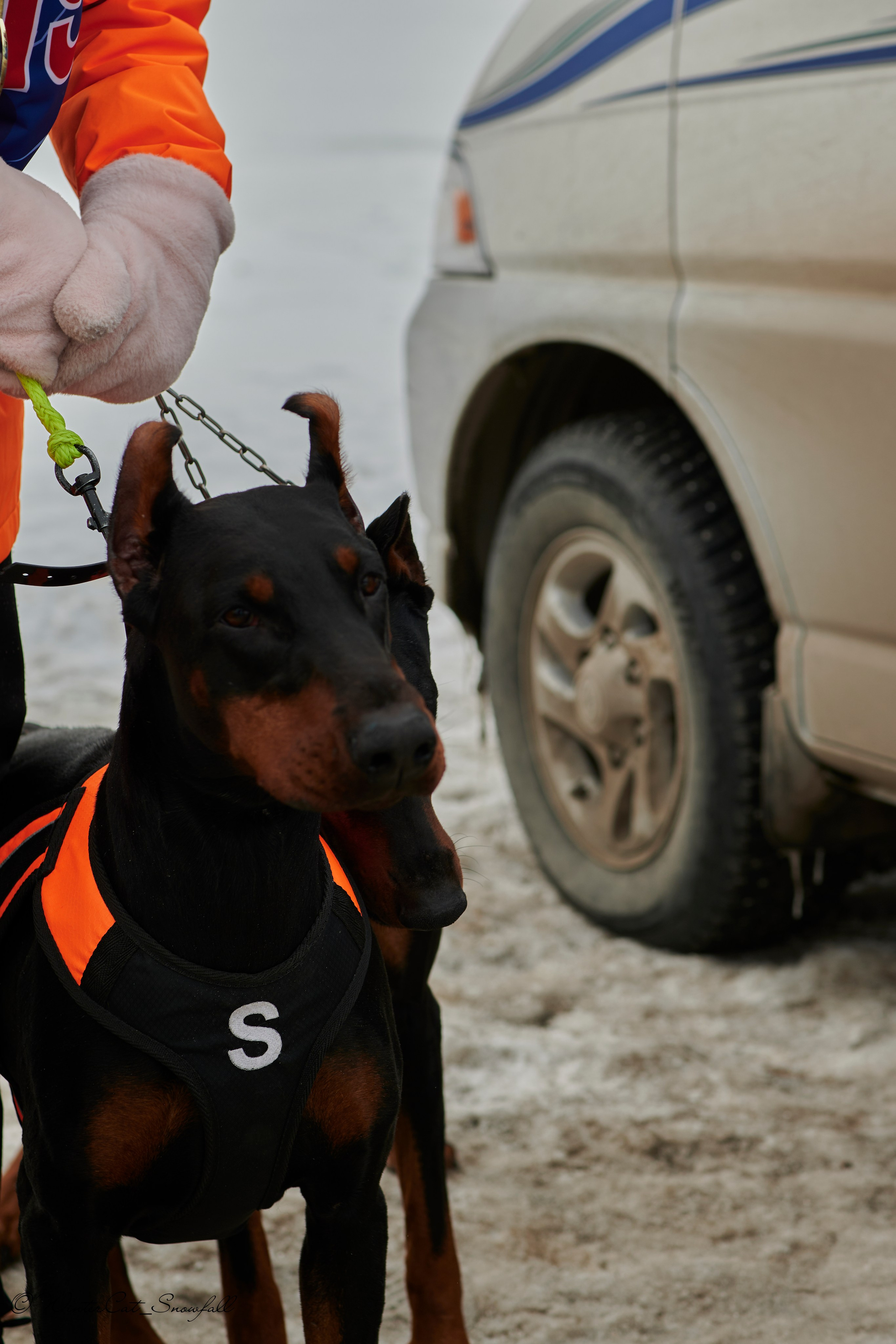 Дзяблу 30.03. Портретный и репортажный фотограф в Магадане Андрей Нефедов WinterCatPhoto