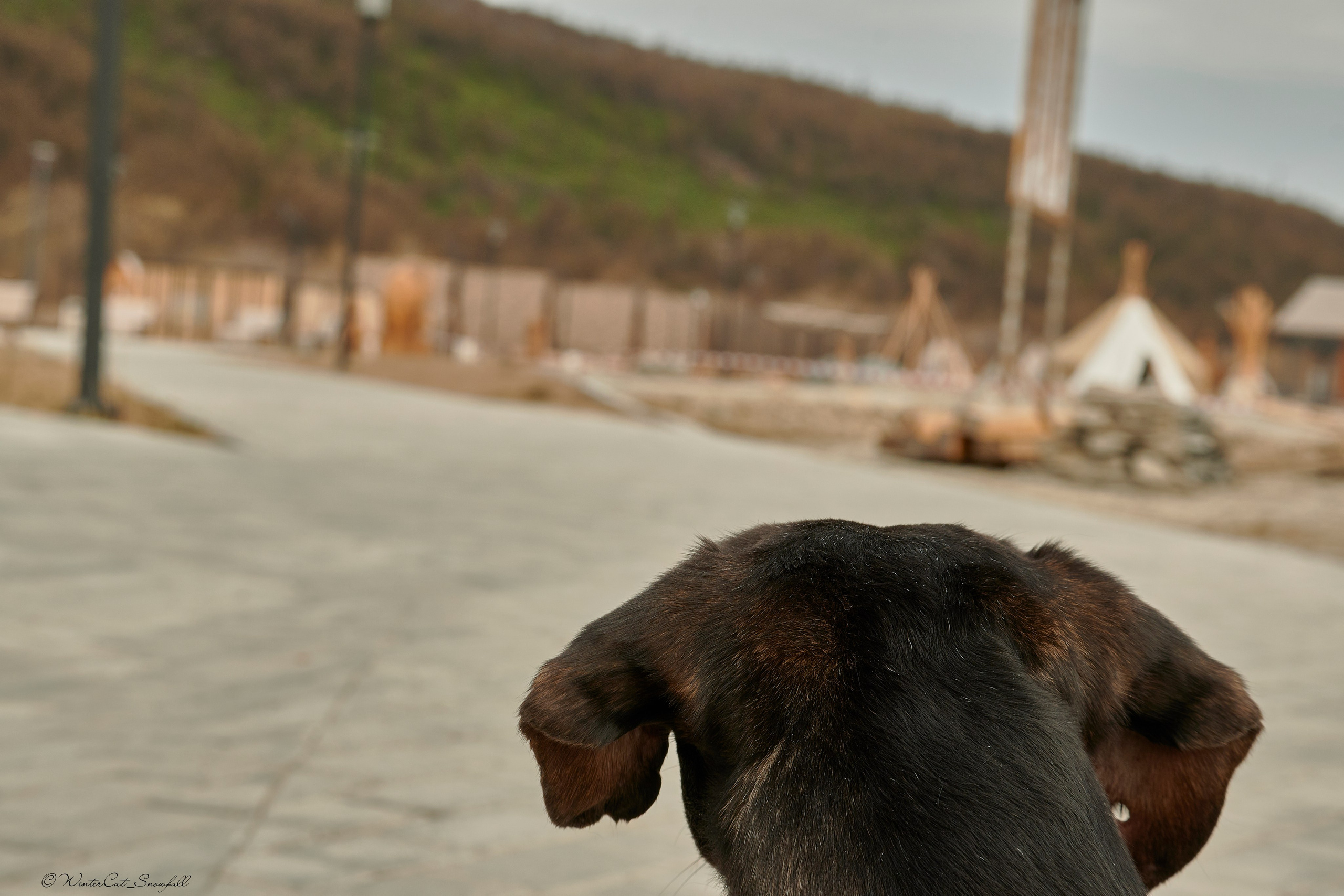 Мотофест + Концерт 25.05.24. Портретный и репортажный фотограф в Магадане Андрей Нефедов WinterCatPhoto