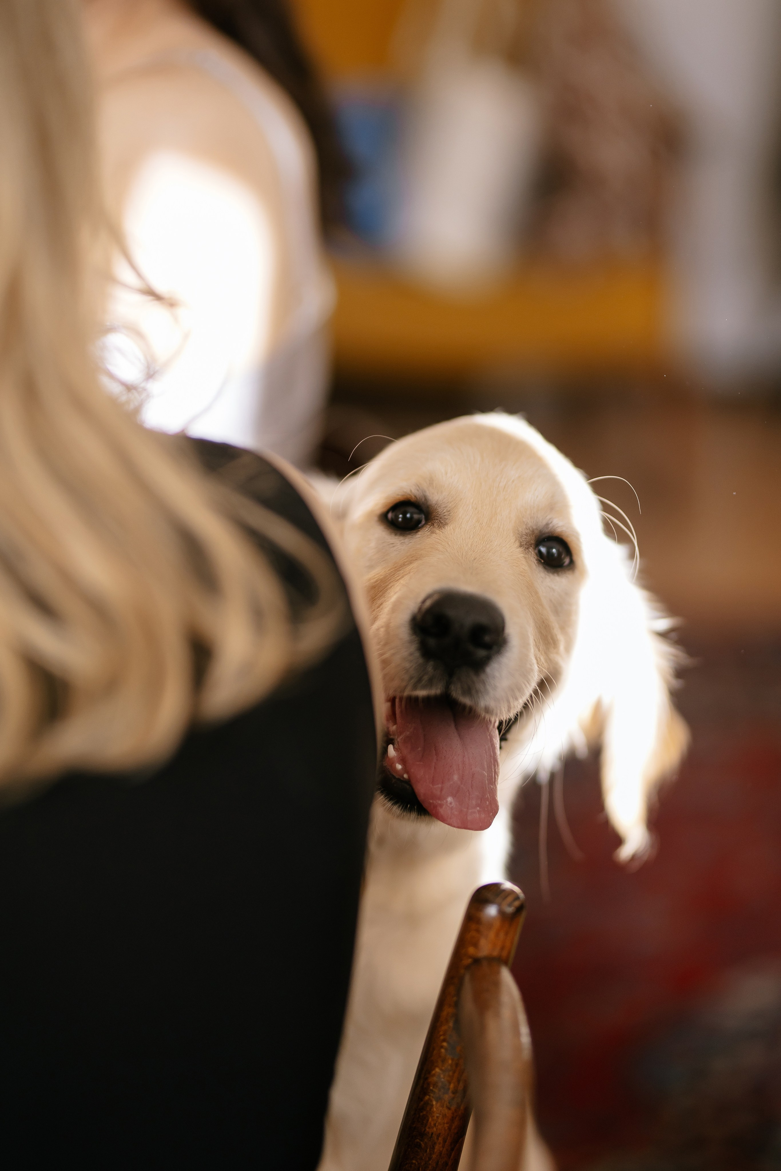 День рождения в Доме Липы. Анастасия Мелёхина Фотограф Москва, Свадебный фотограф Москва
