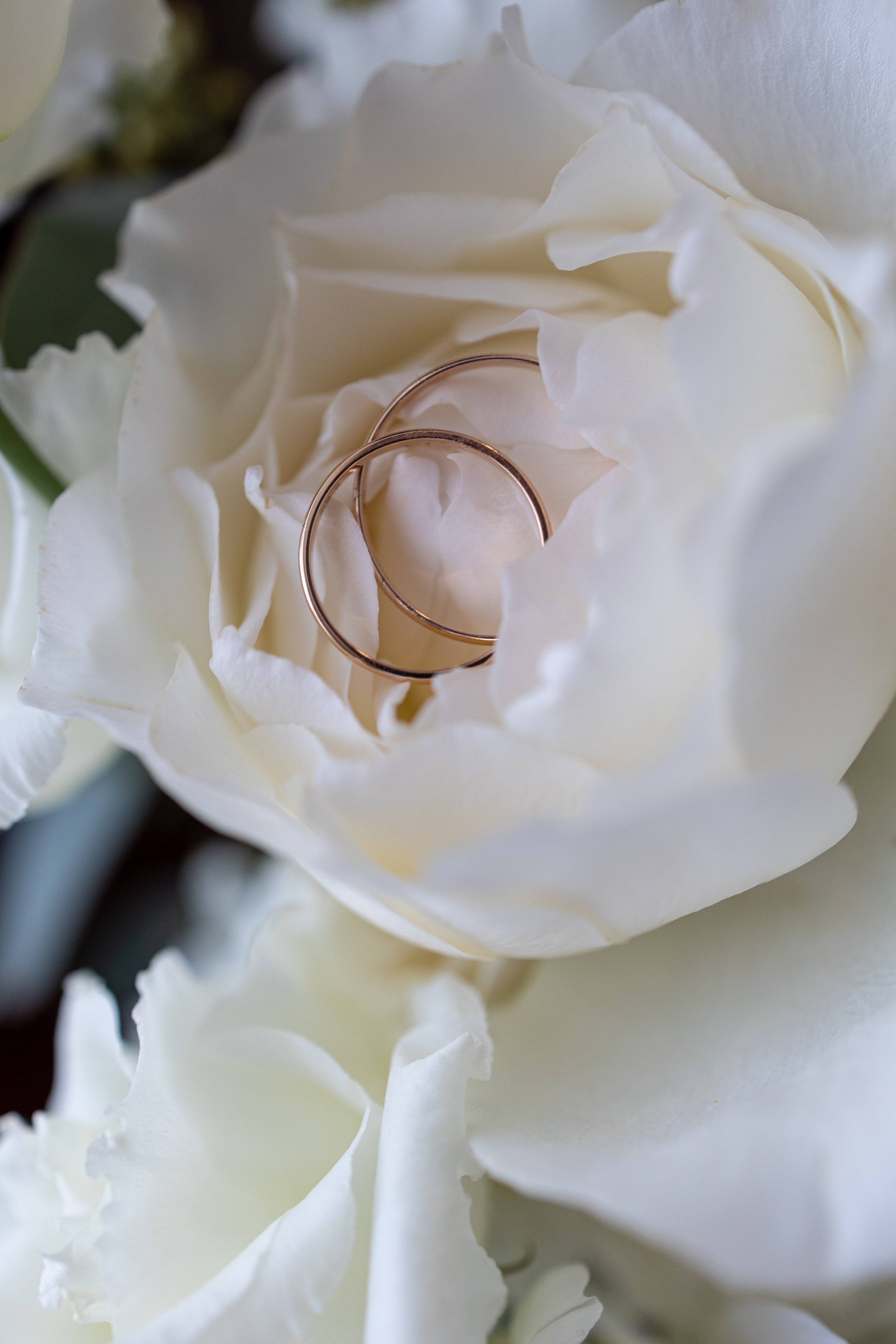 K & V. Ирина Носова - семейный и детский фотограф